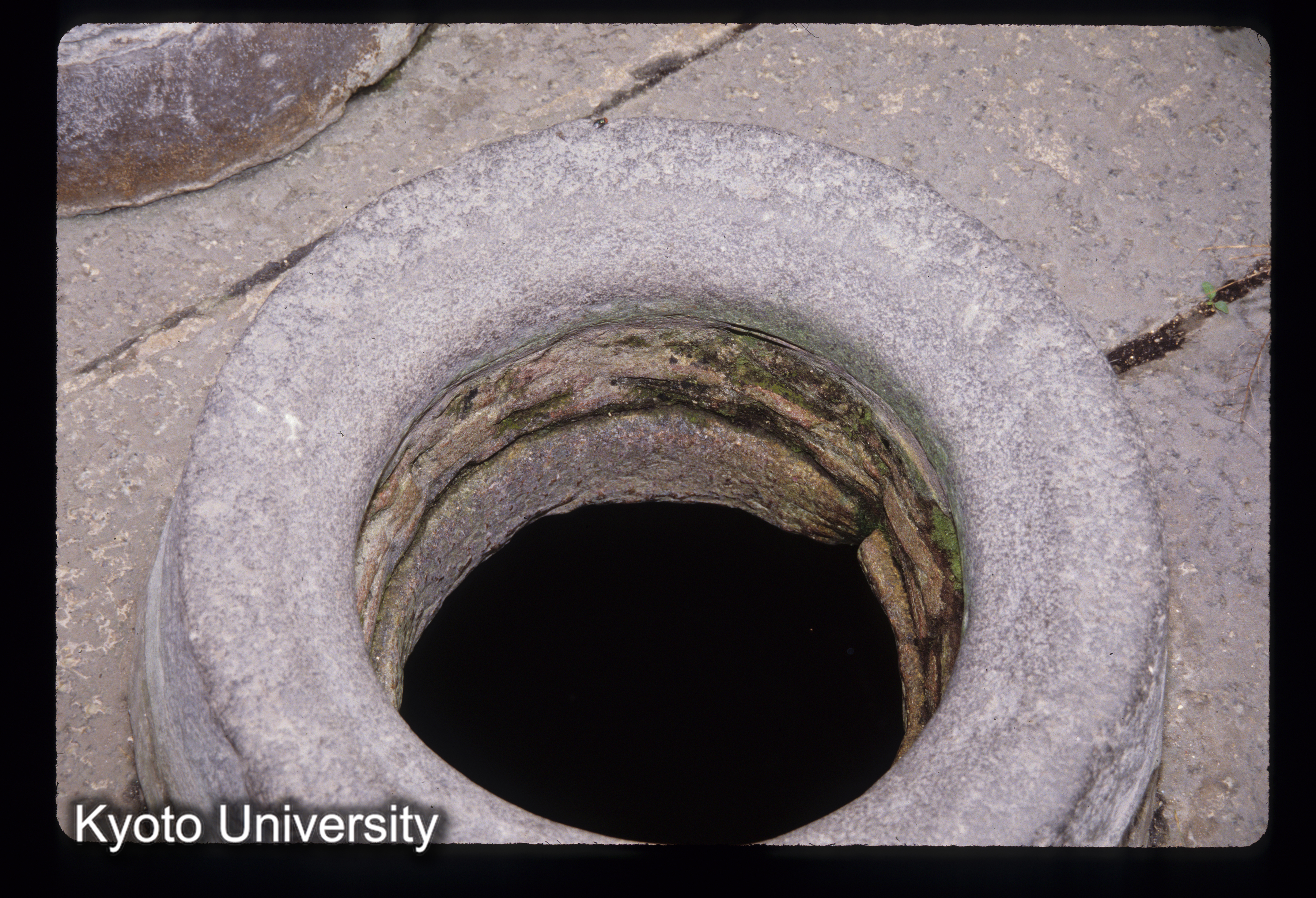 ［スライド］ (1)