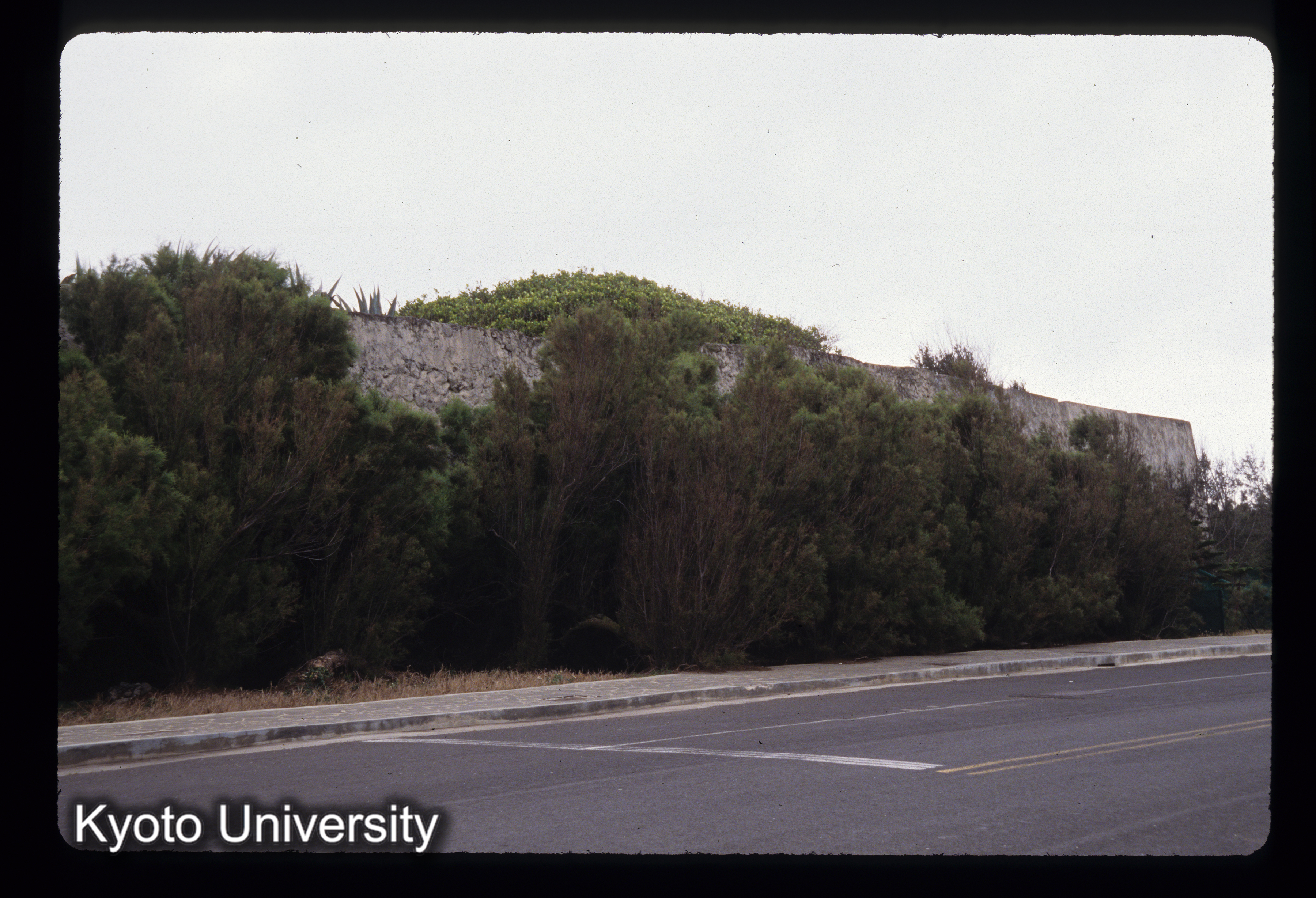 ［スライド］ (1)