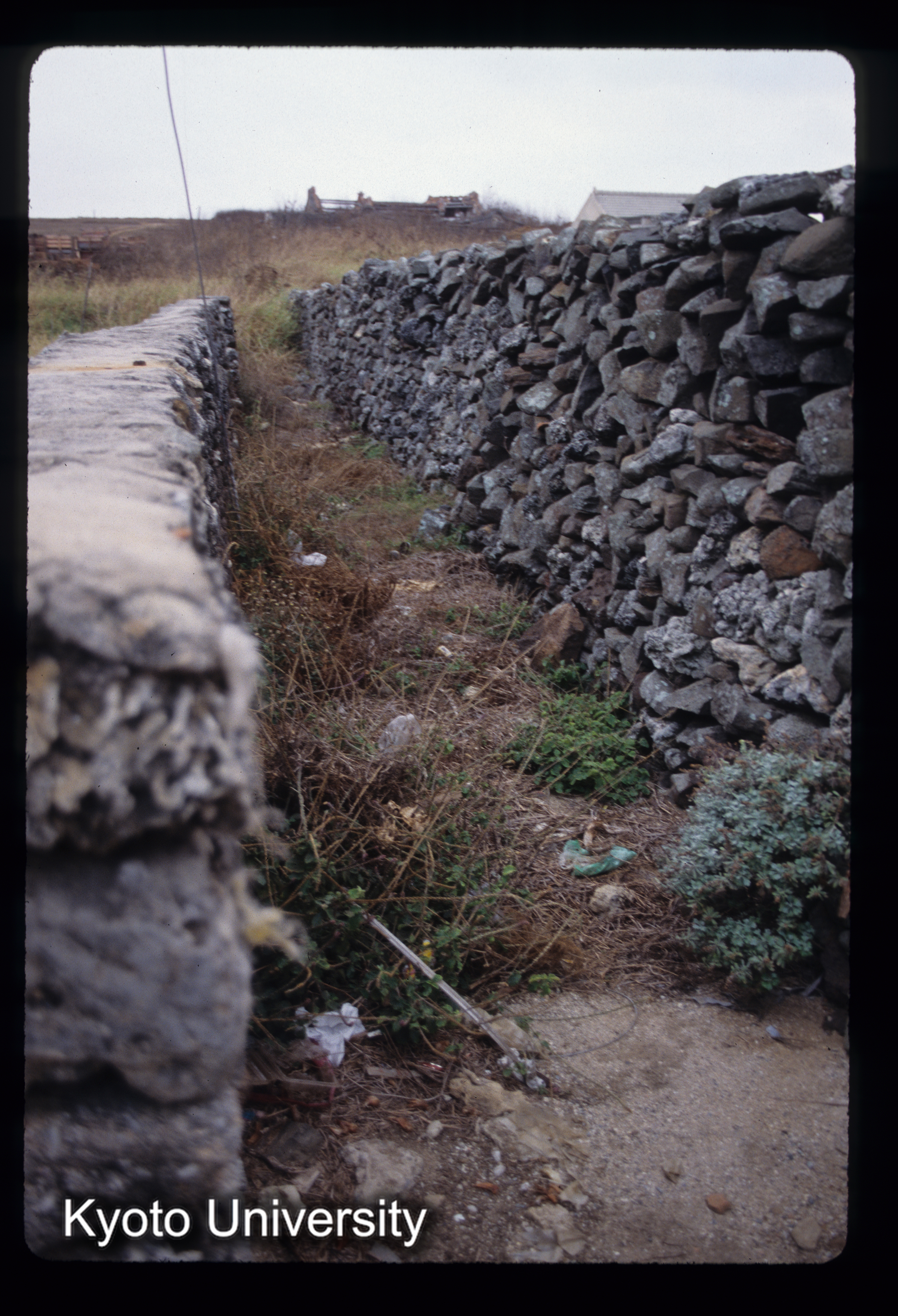 ［スライド］ (1)