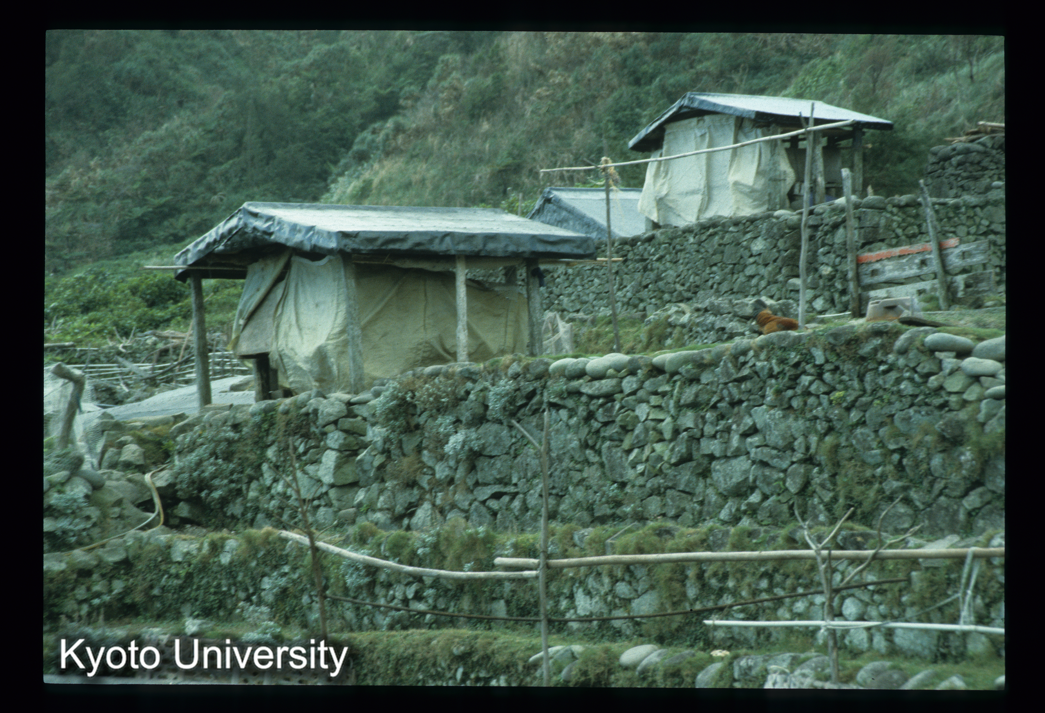 ［スライド］ (1)