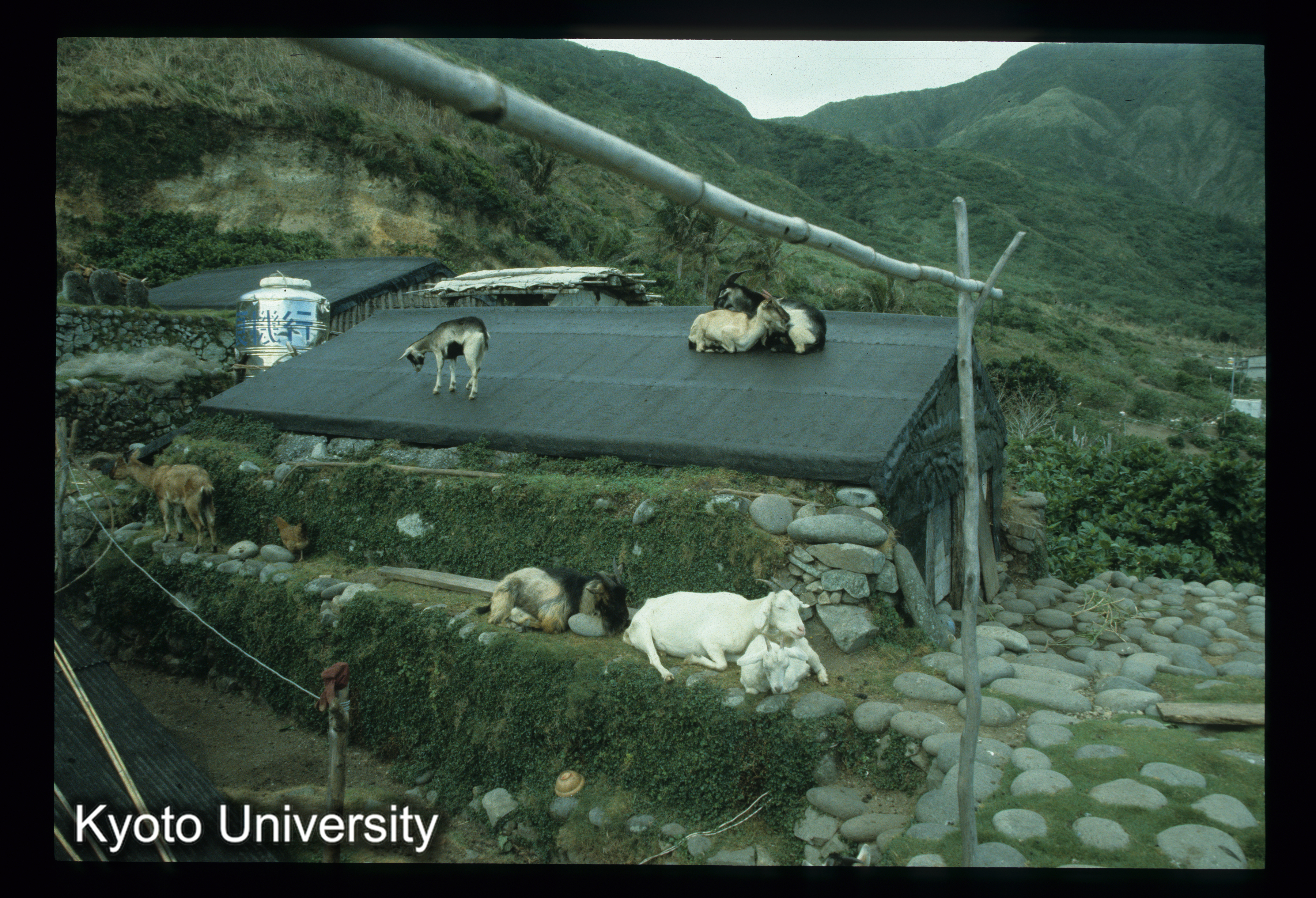 ［スライド］ (1)