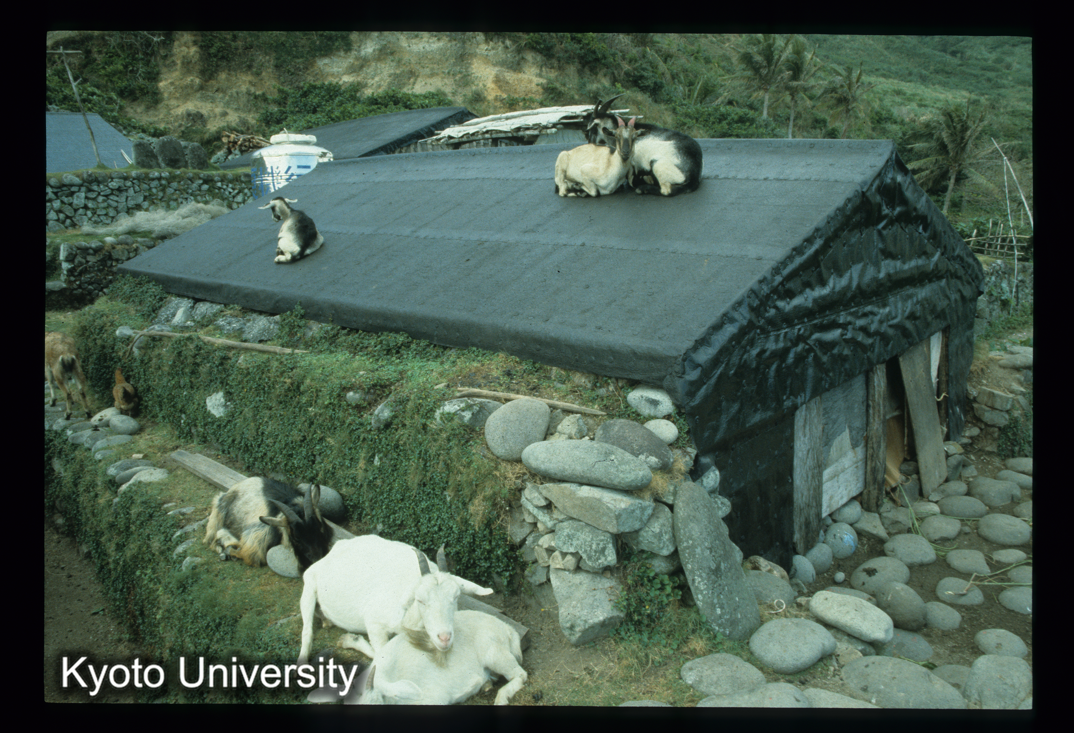 ［スライド］ (1)