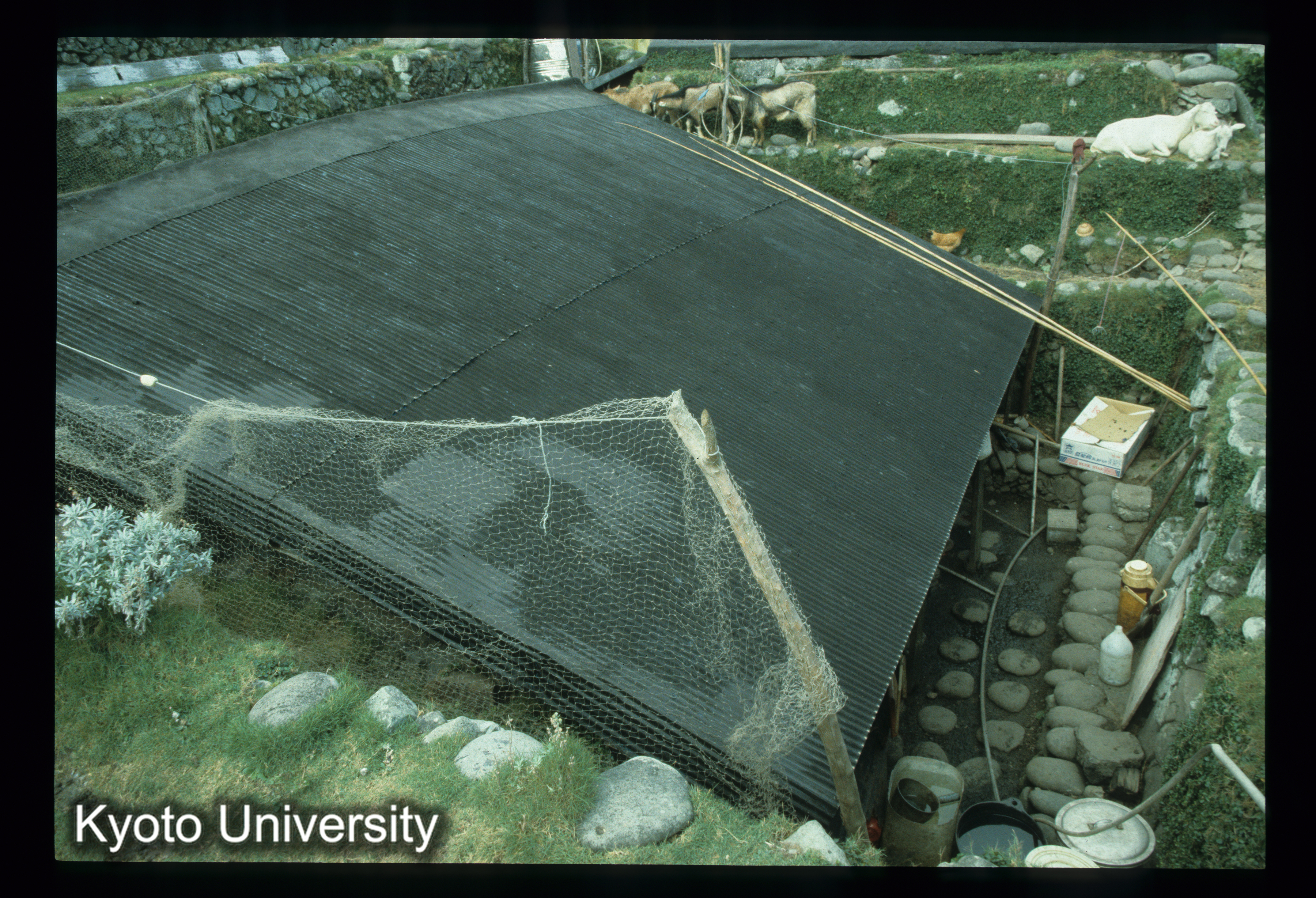 ［スライド］ (1)