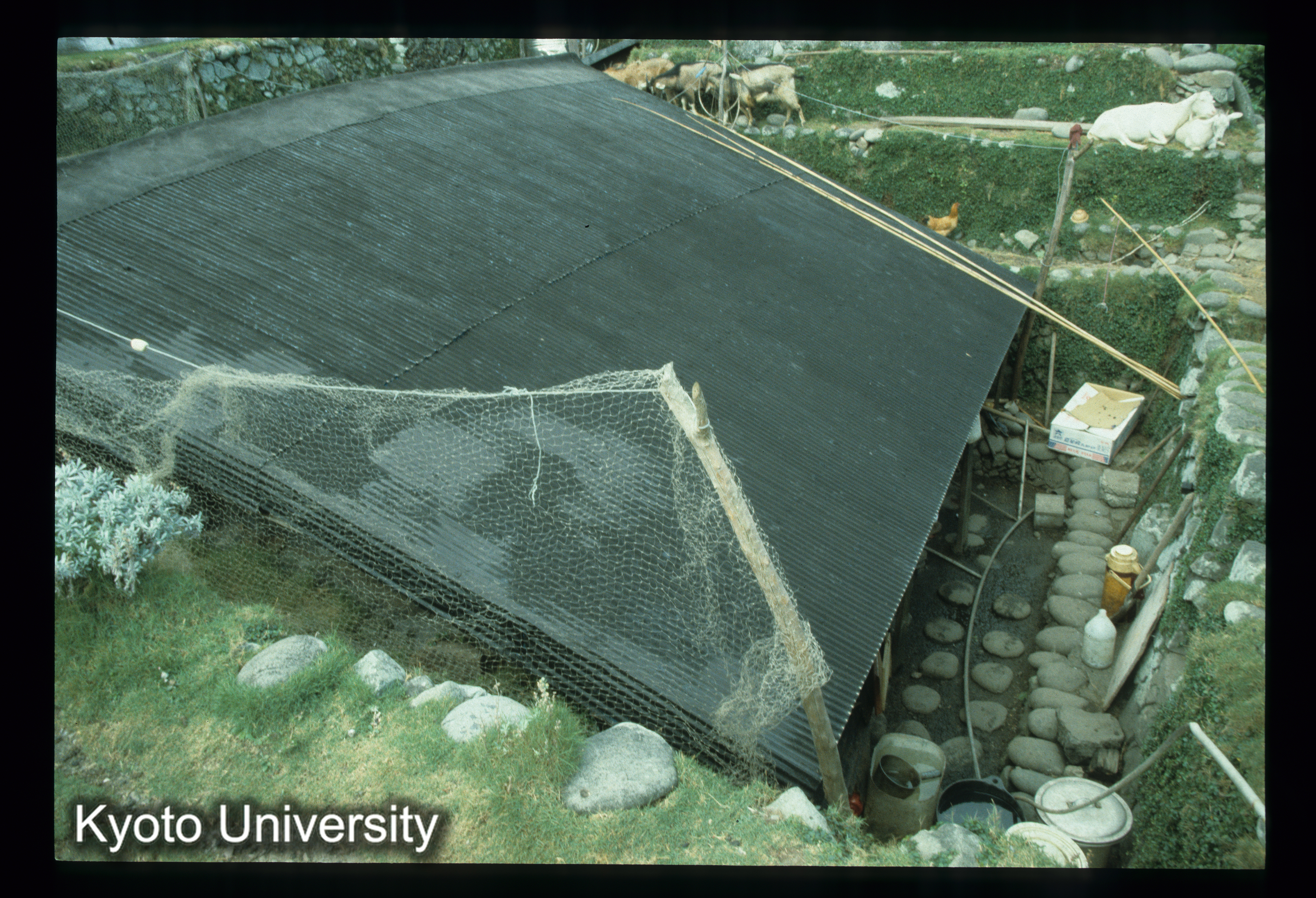 ［スライド］ (1)