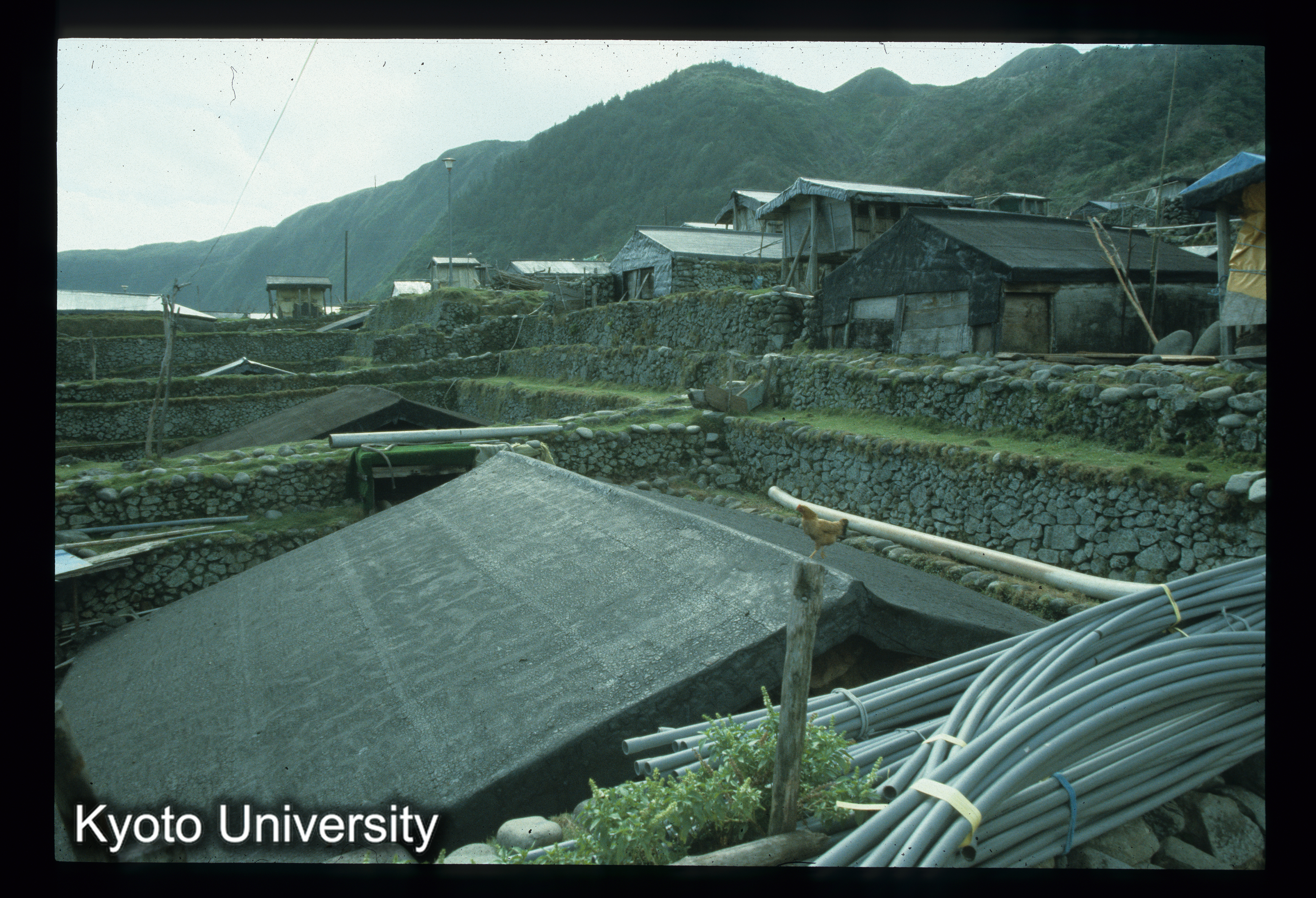 ［スライド］ (1)