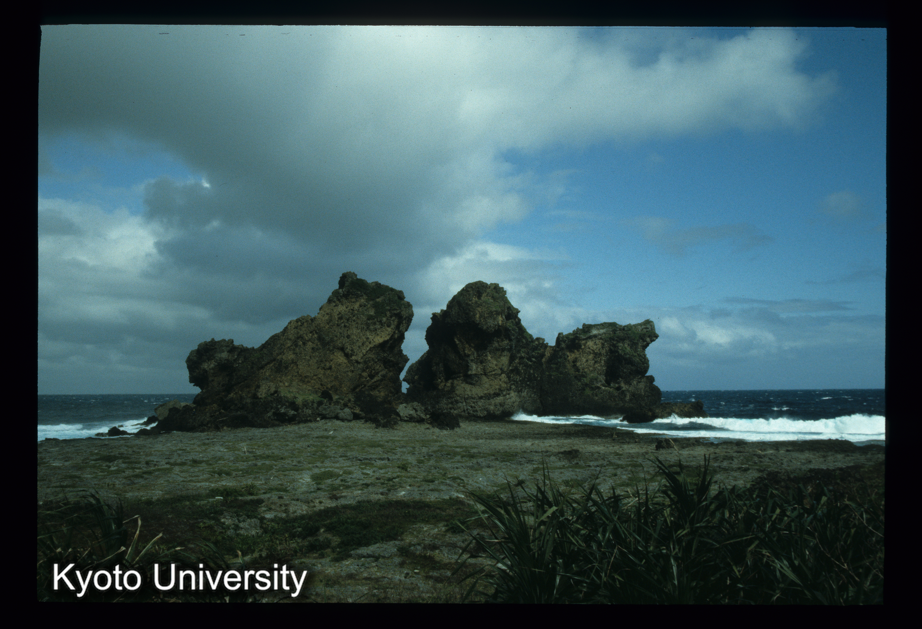 ［スライド］ (1)