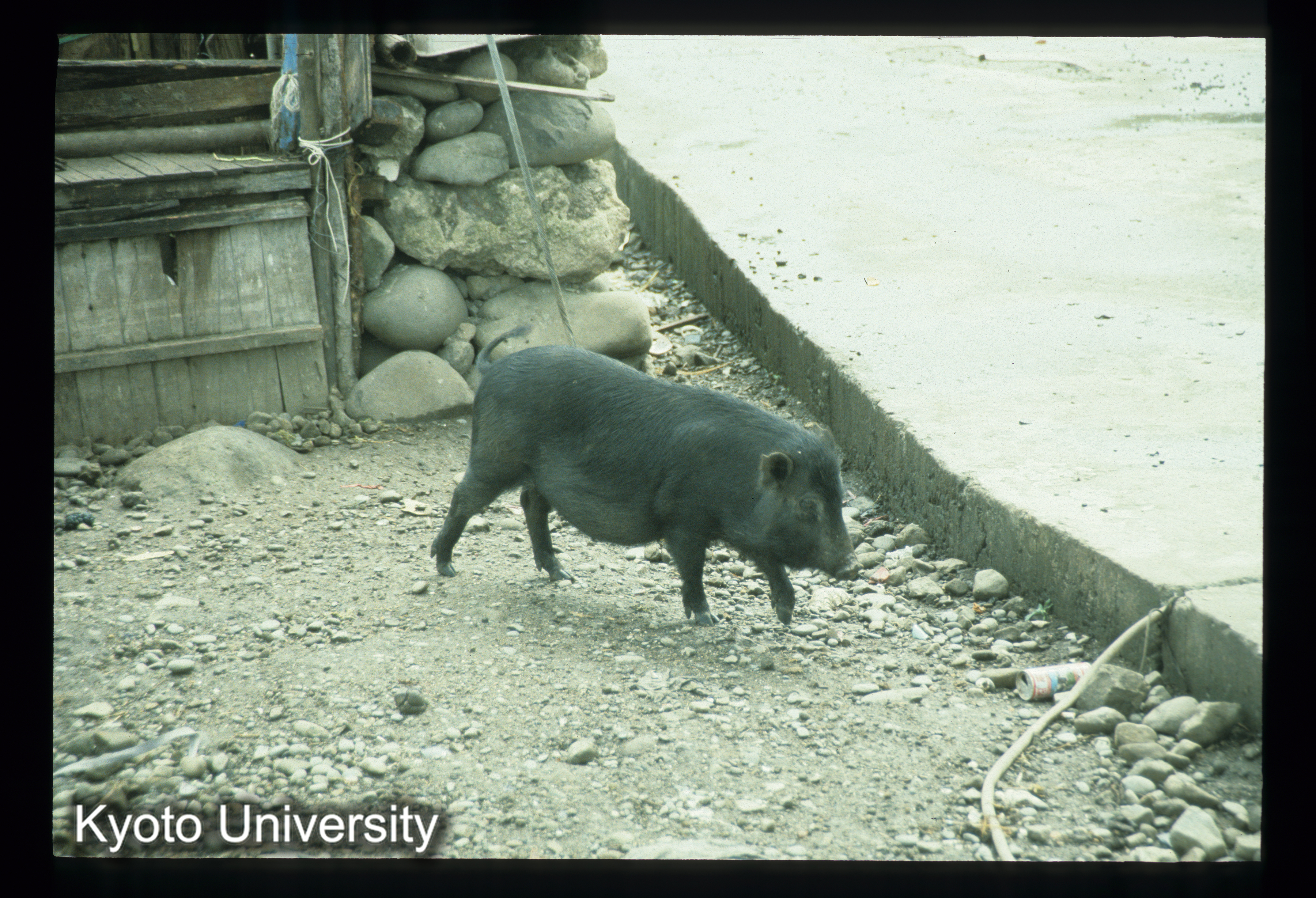 ［スライド］ (1)