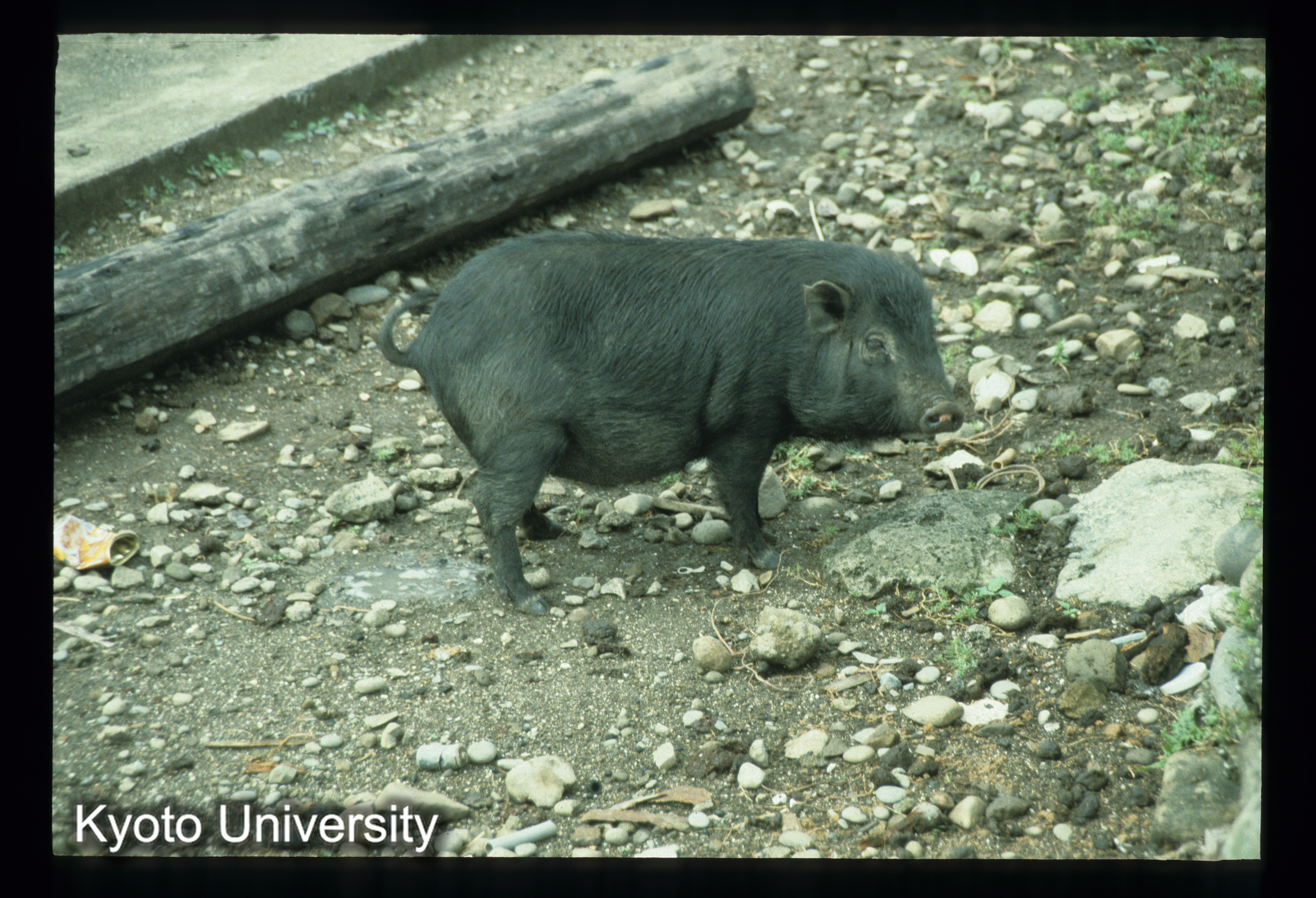 ［スライド］ (1)