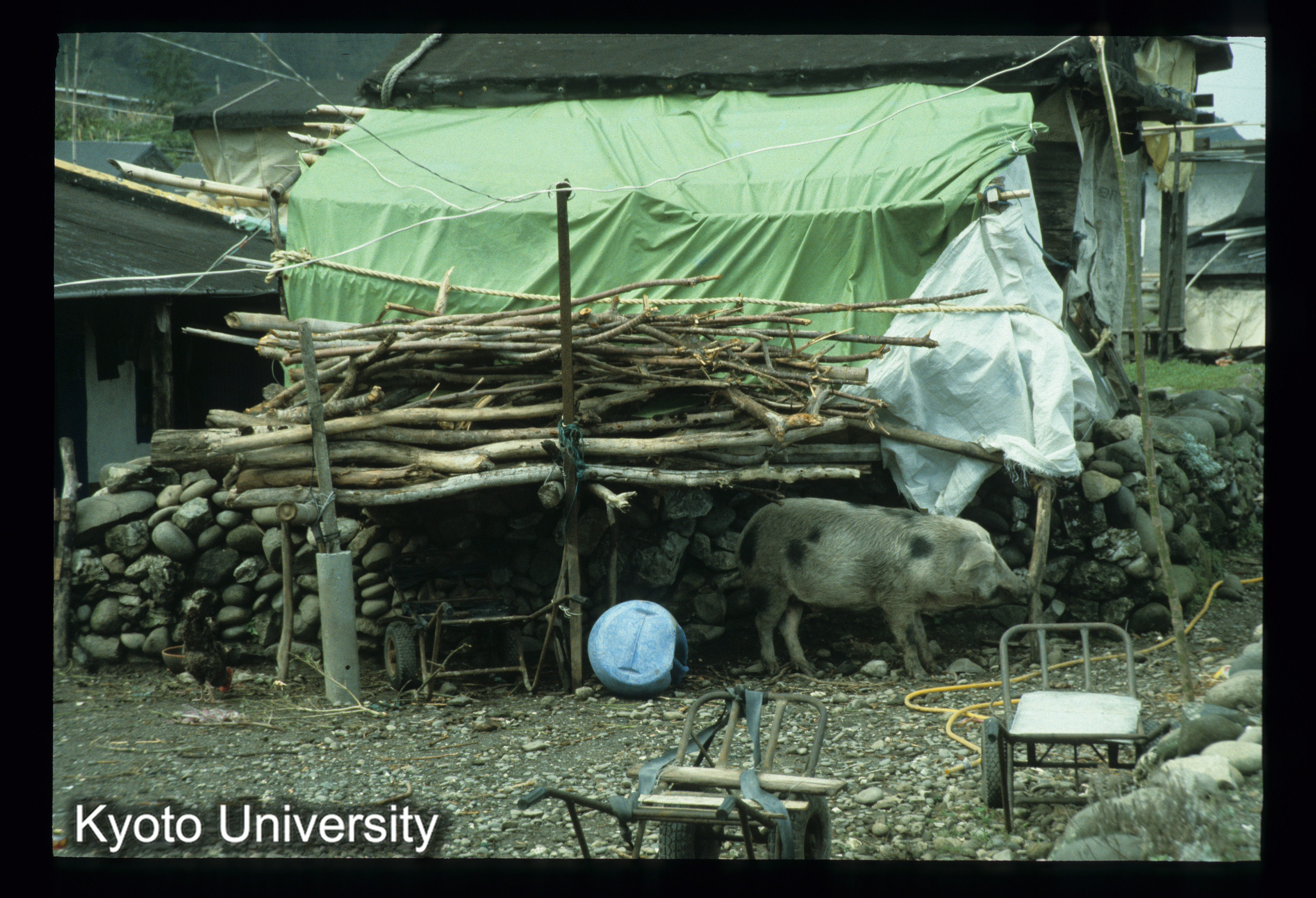 ［スライド］ (1)