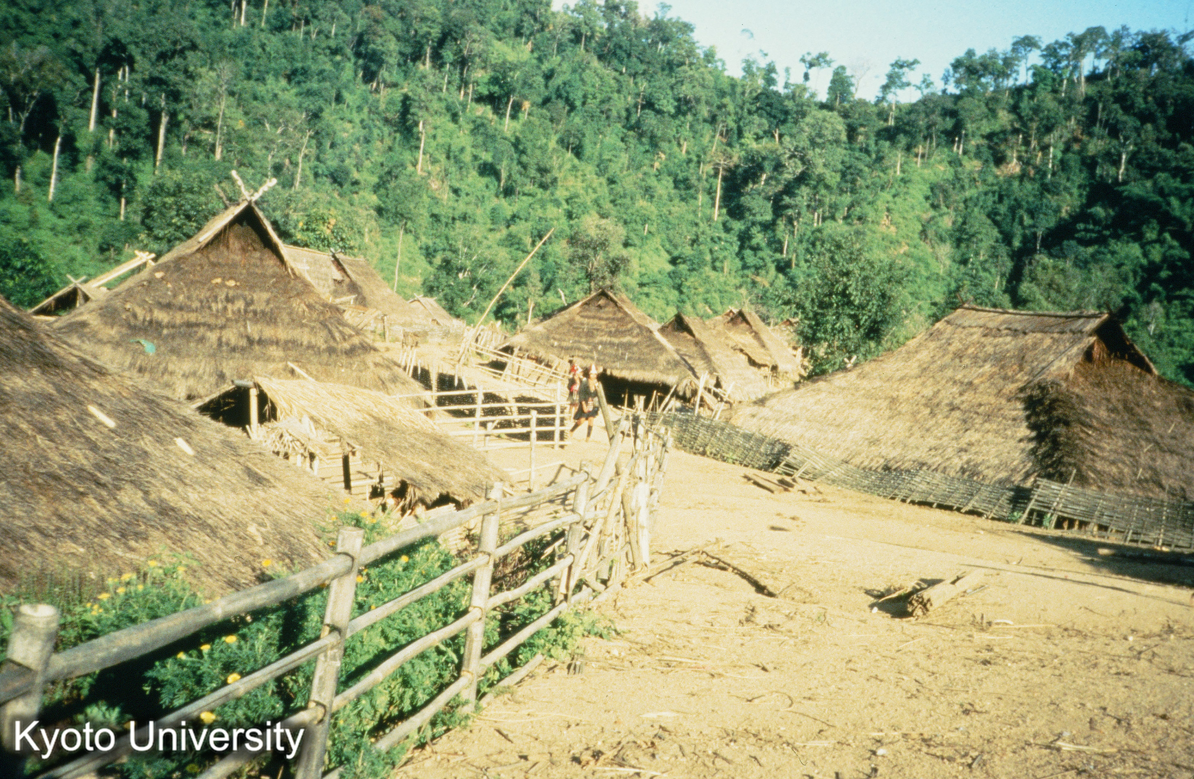 アカ（イコー） (1)