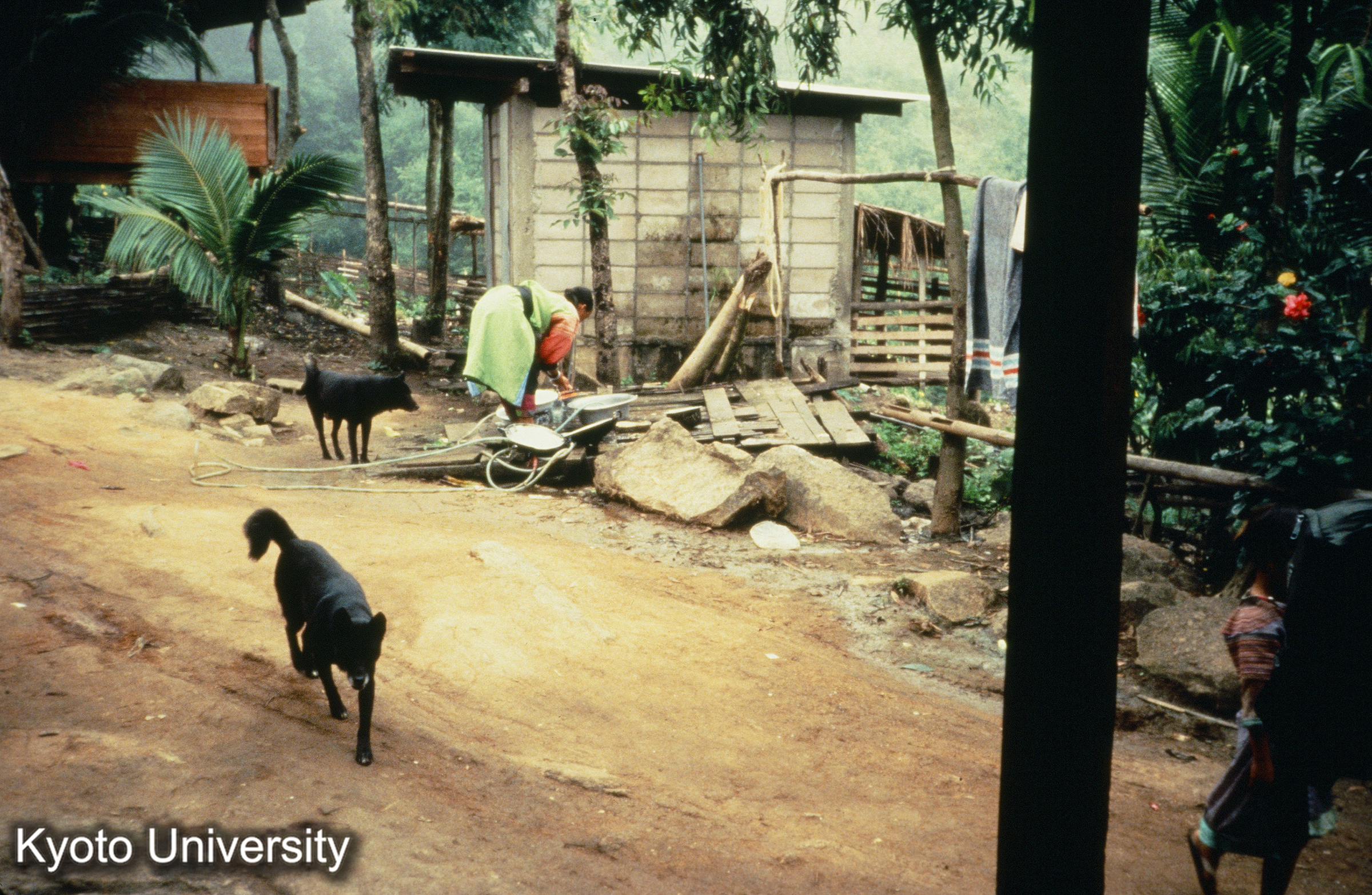 リス（リソー） (1)