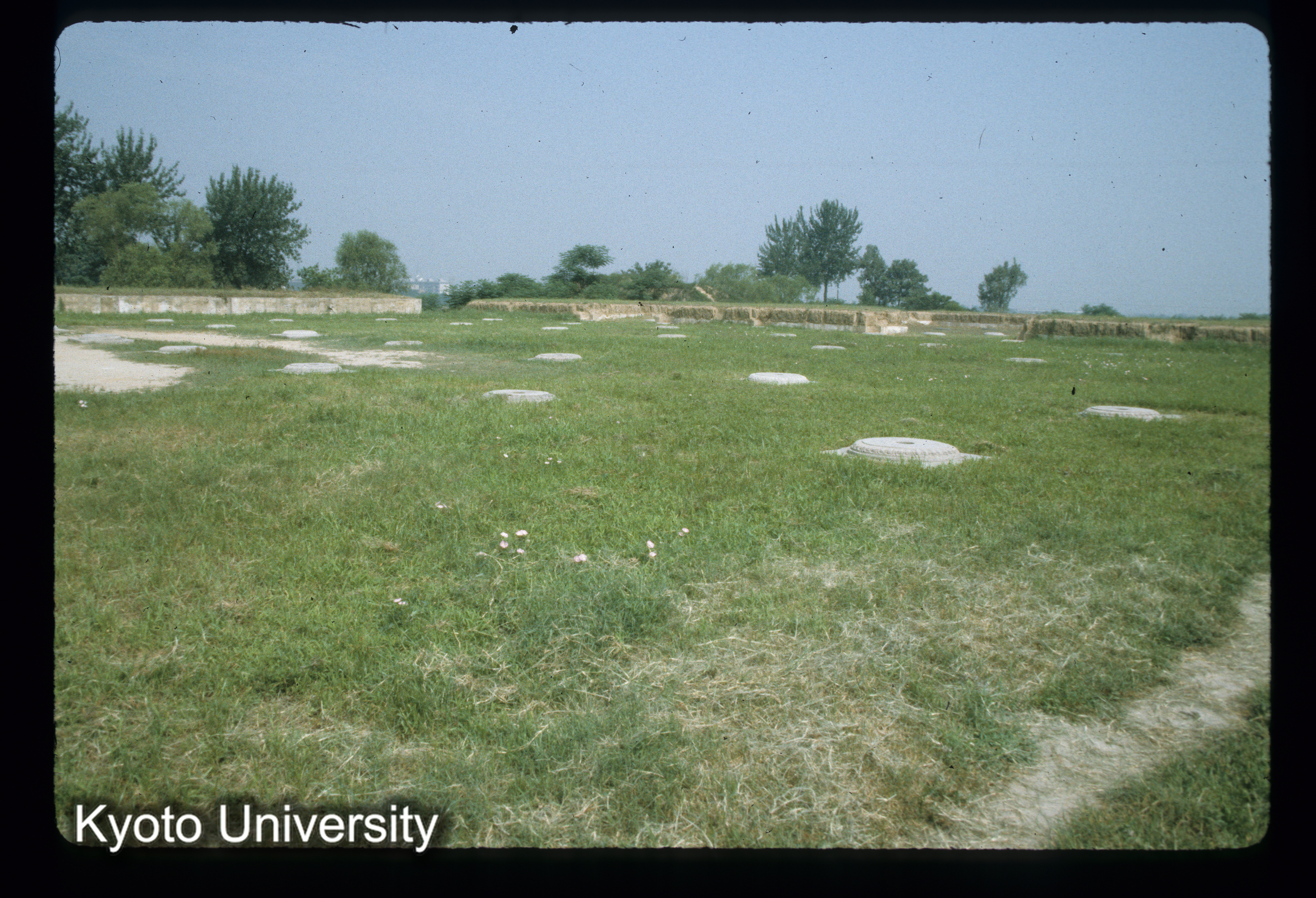 8_大明宮麟徳殿址 (1)