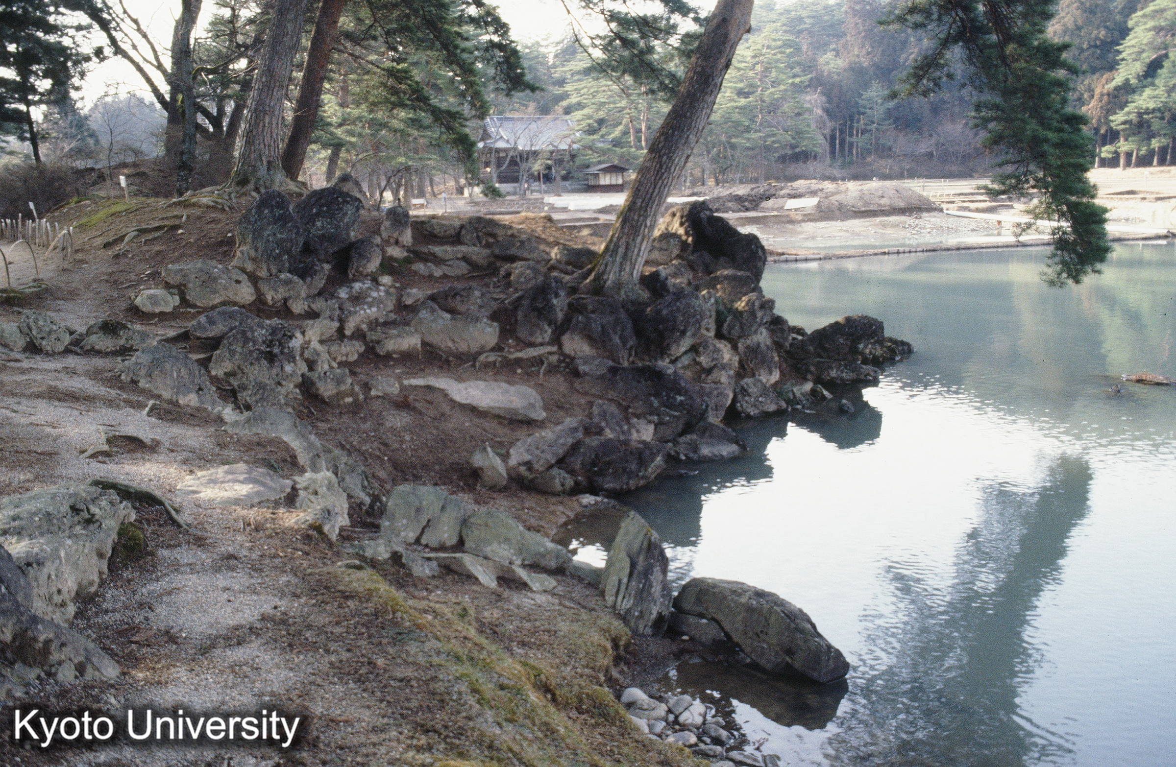 毛越寺 枯山水 (1)