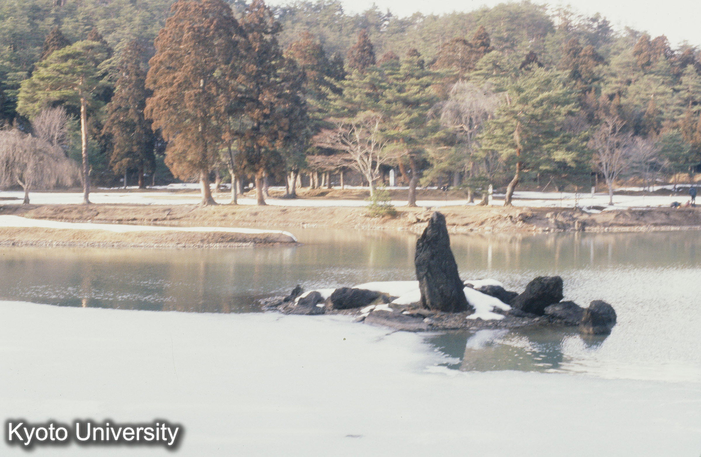 毛越寺 立石_83.3 (1)