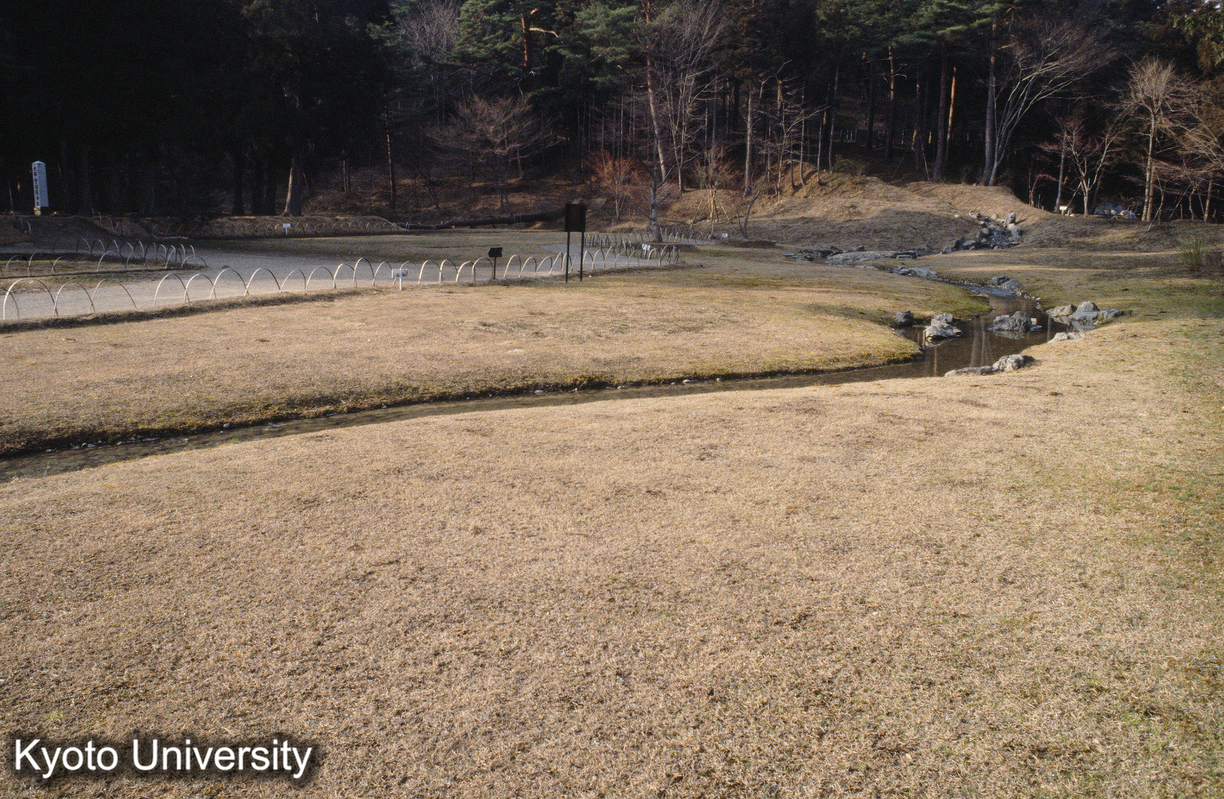 毛越寺 遣水 (1)