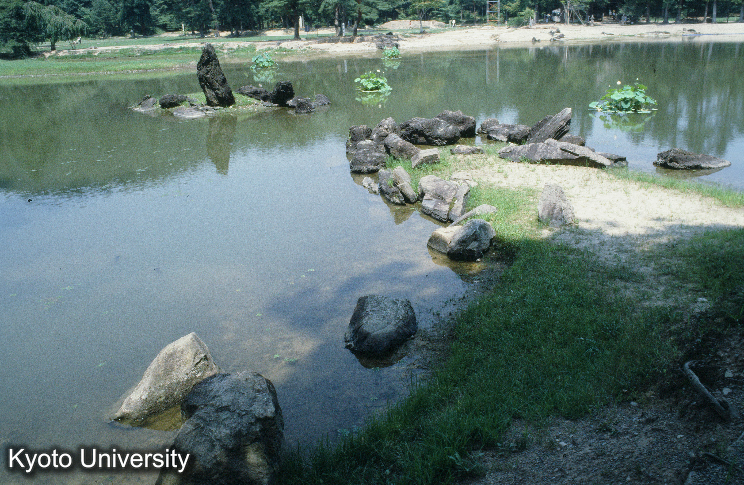 18_毛越寺 荒磯 (1)