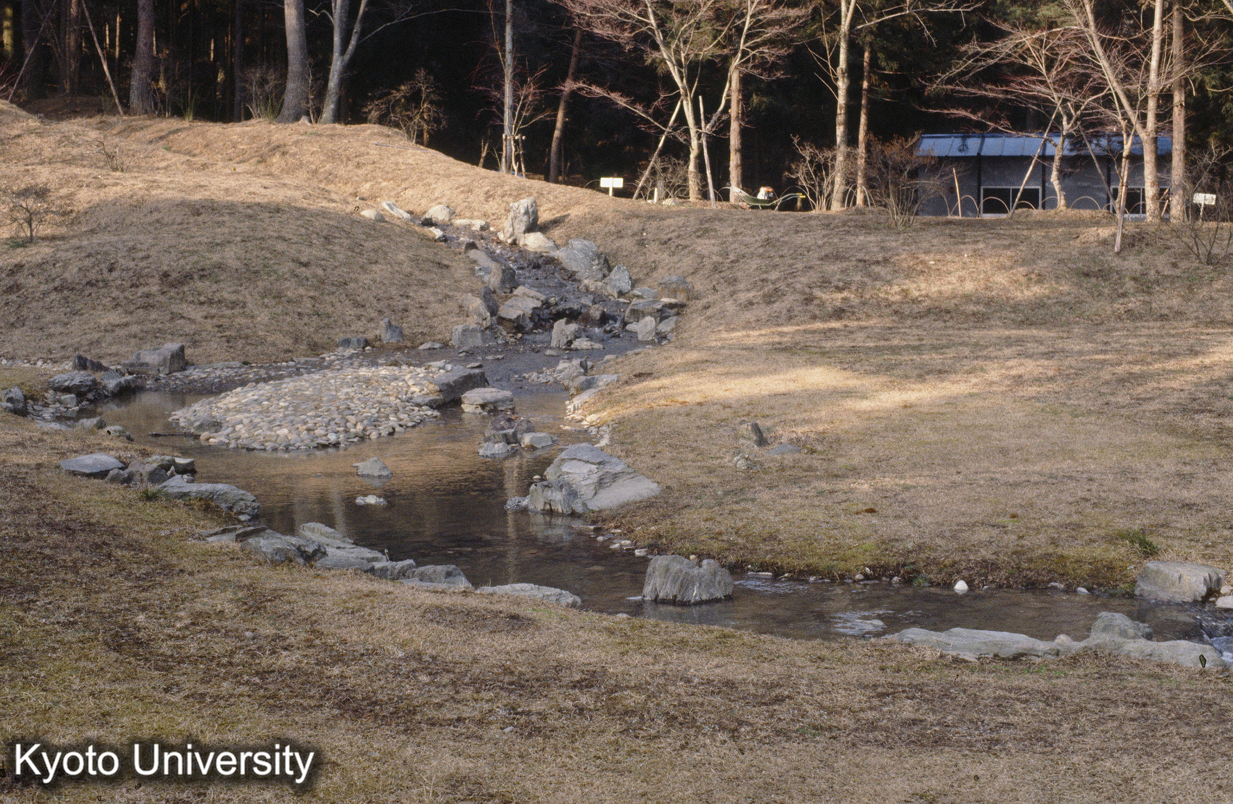 毛越寺 遣水 (1)