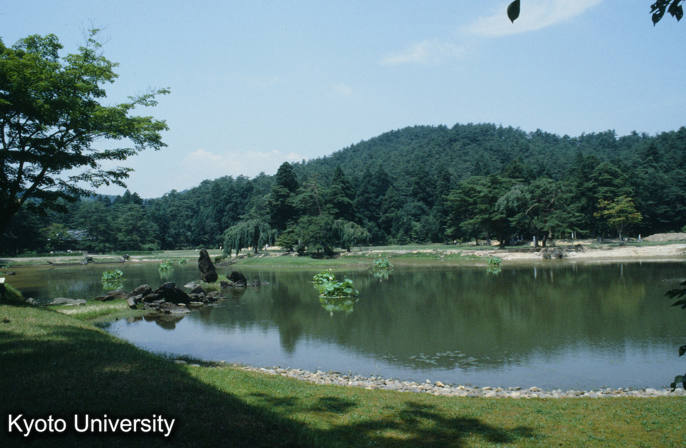 14_毛越寺 池苑 (1)