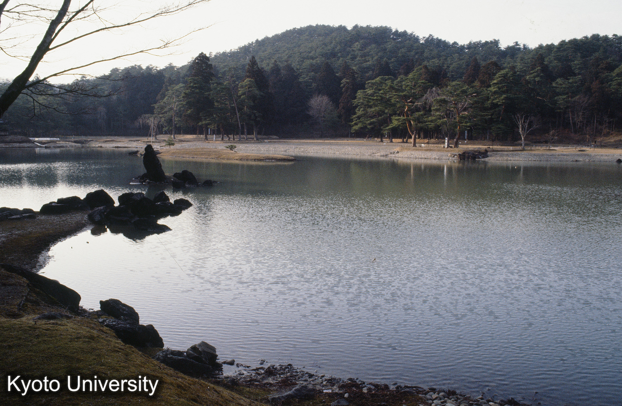 毛越寺 立石 (1)