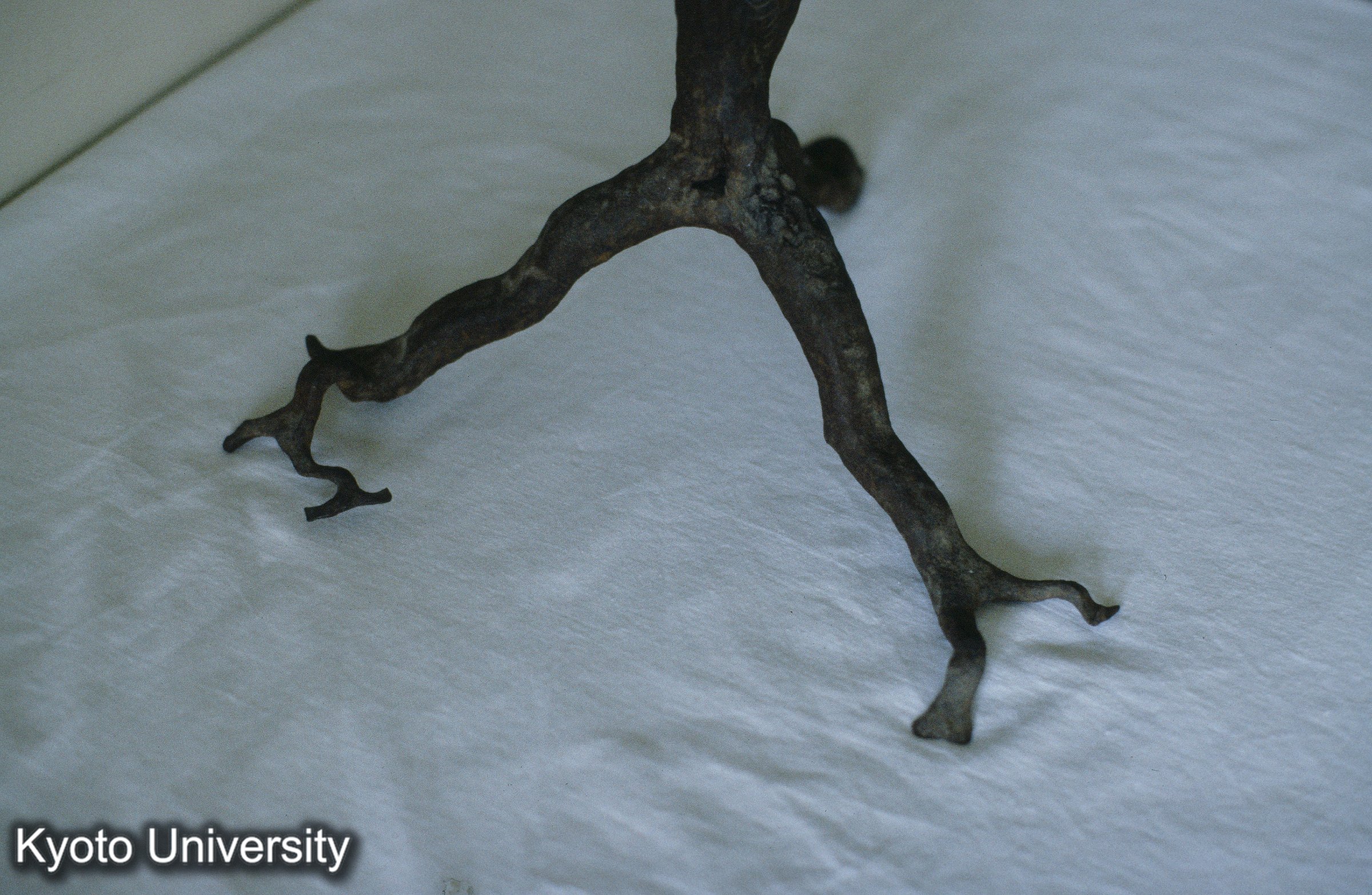 ［スライド］ (1)