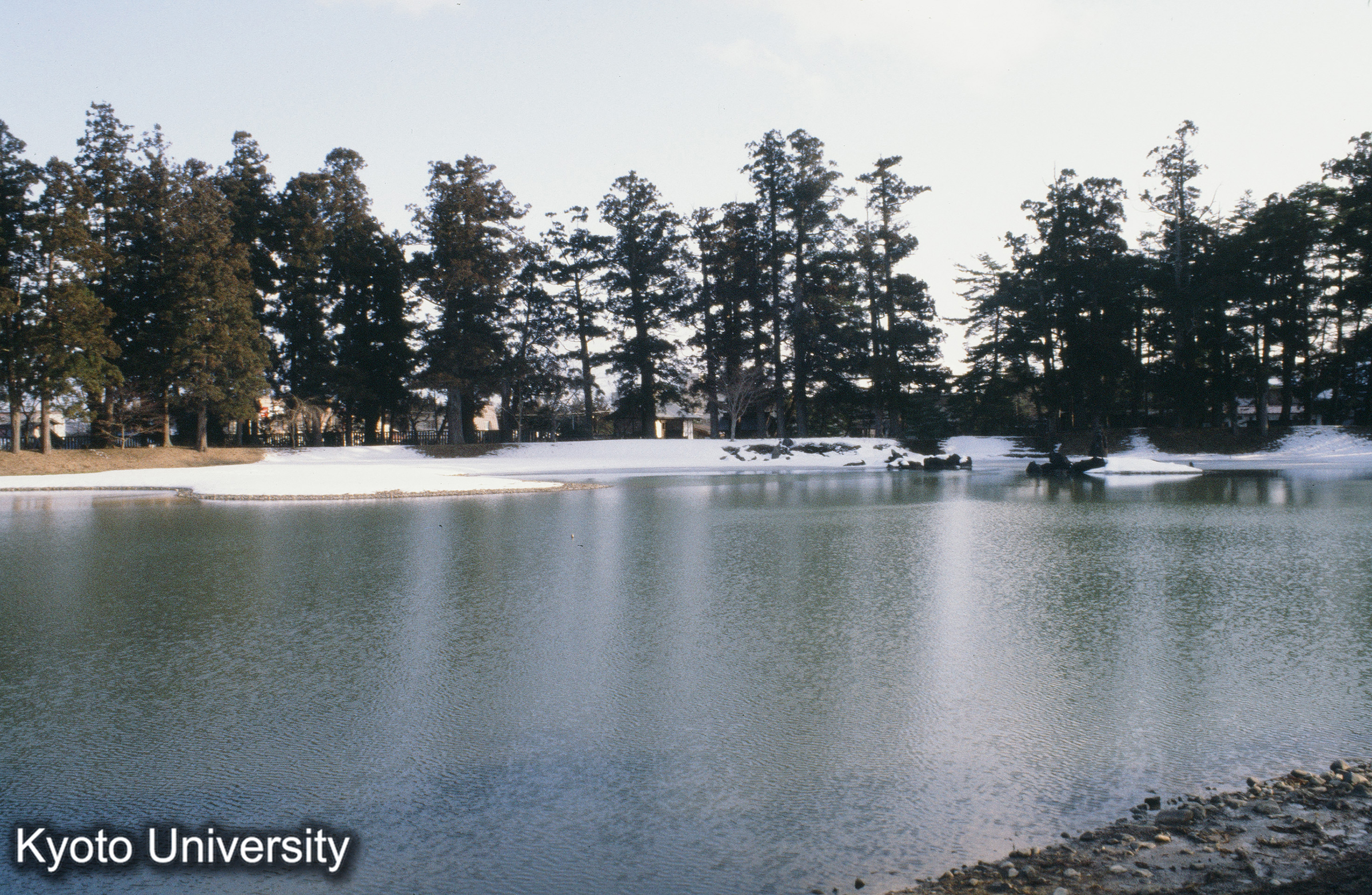 毛越寺 大泉池_83.3 (1)