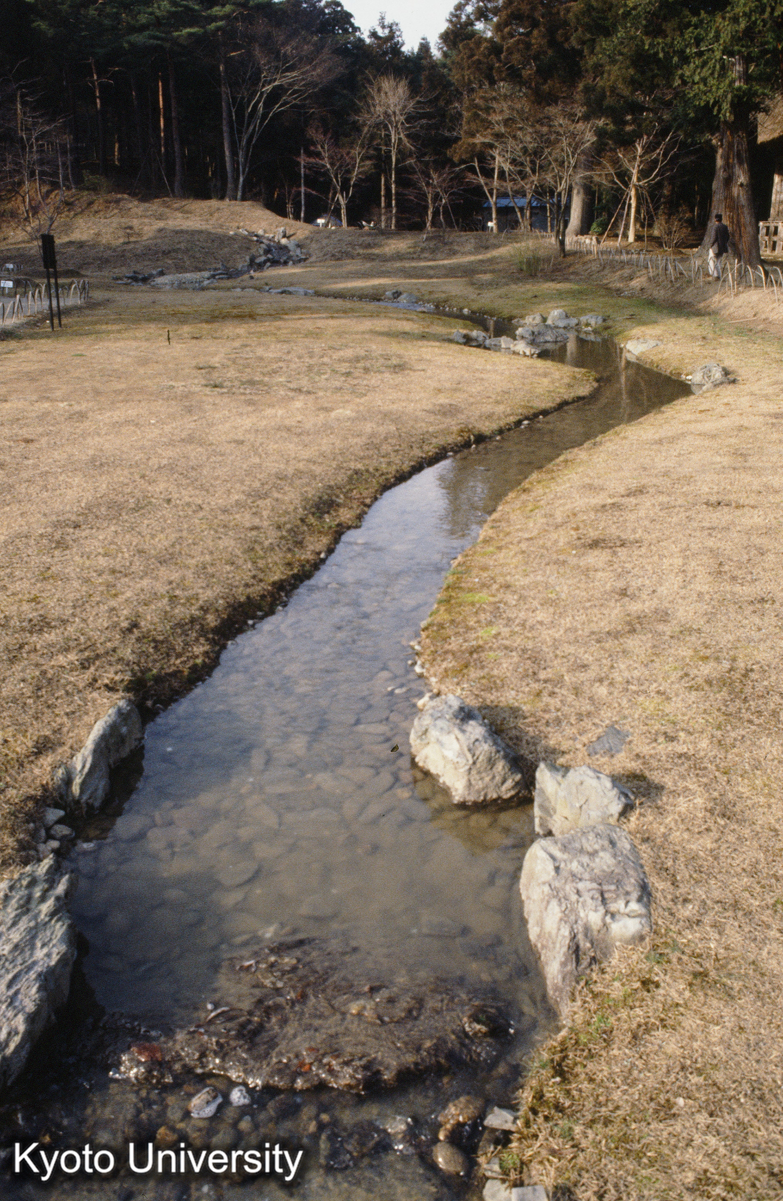 毛越寺 遣水 (1)