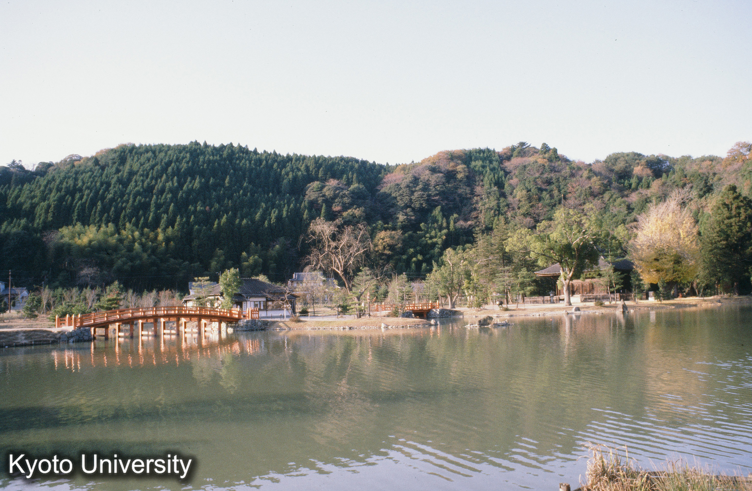 白水阿弥陀堂 (1)