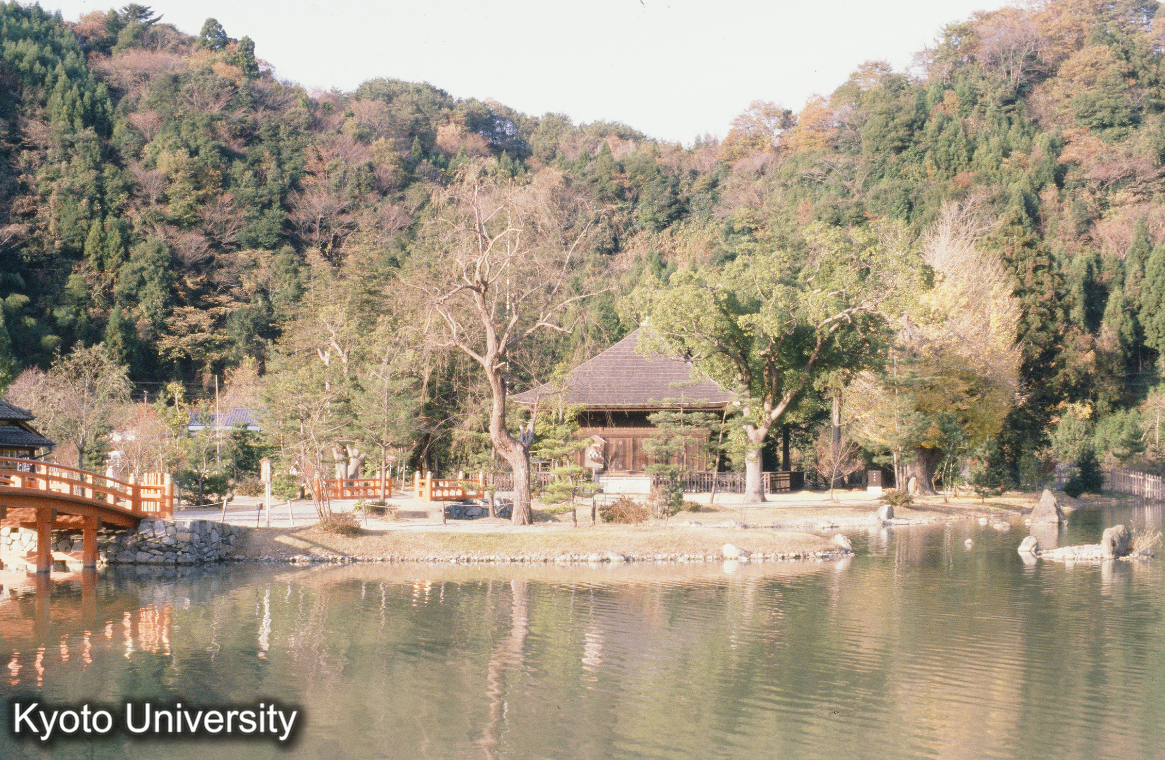 白水阿弥陀堂 (1)