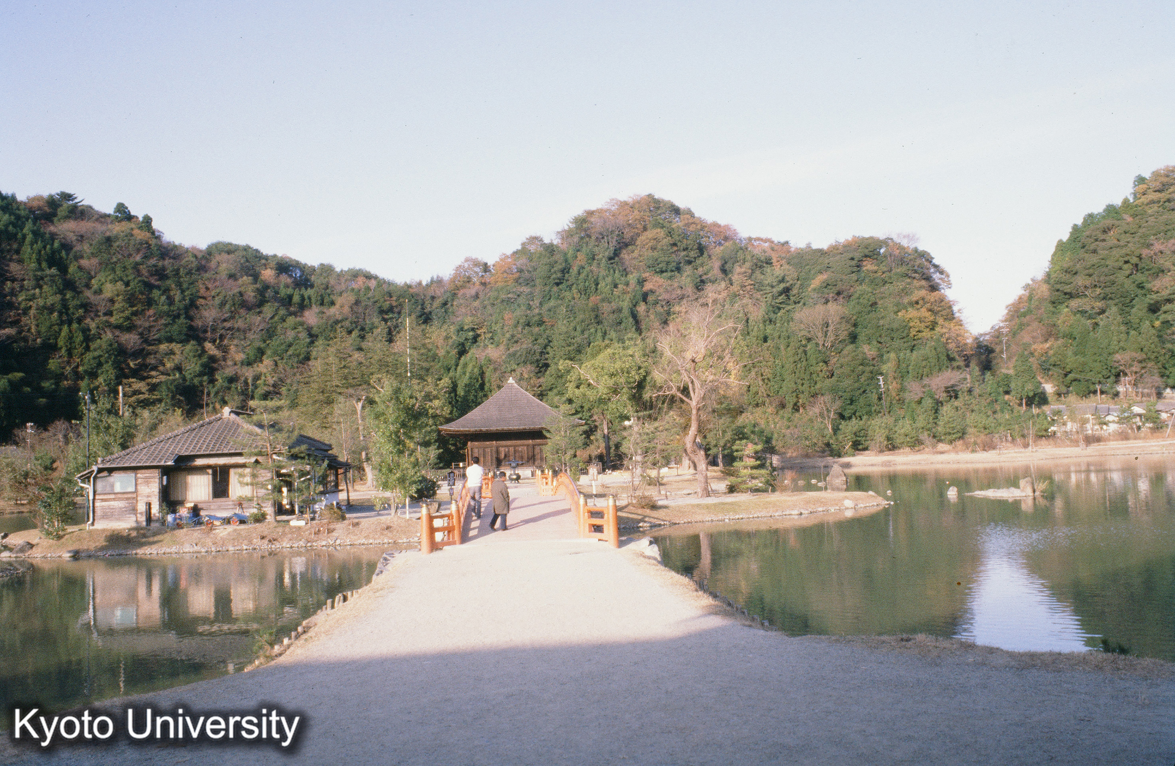 16_白水阿弥陀堂 池と橋 (1)