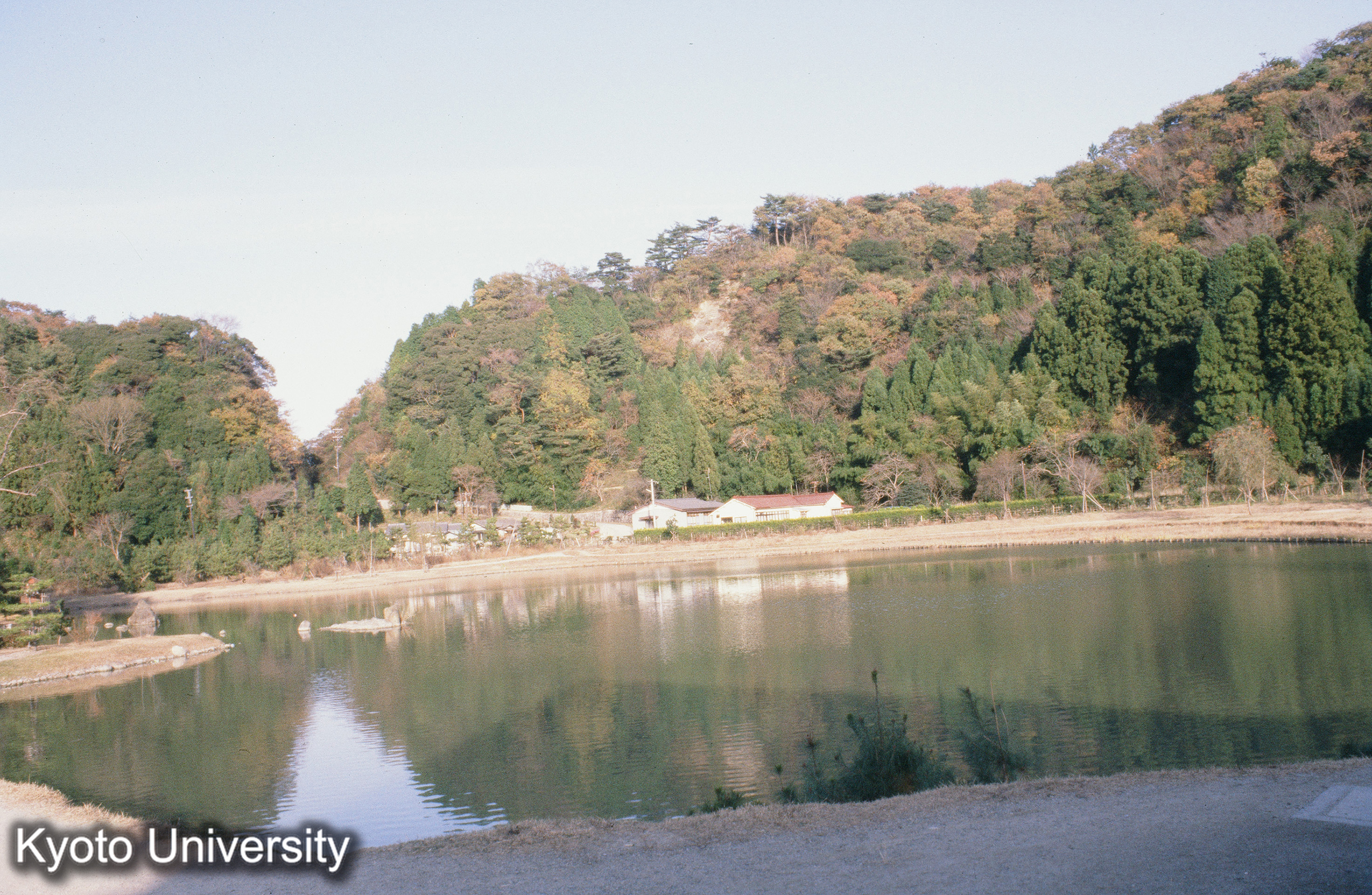 ［スライド］ (1)