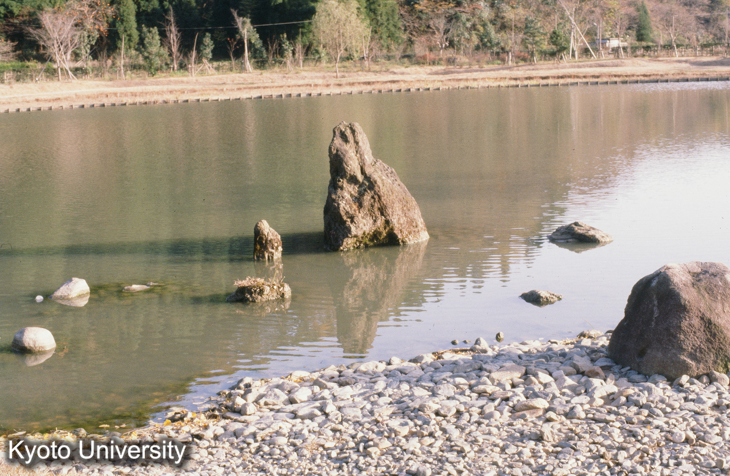 20_白水阿弥陀堂 (1)