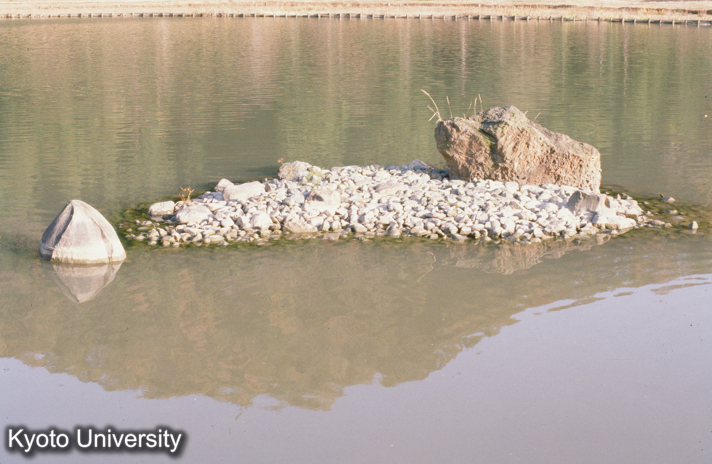 白水阿弥陀堂 (1)