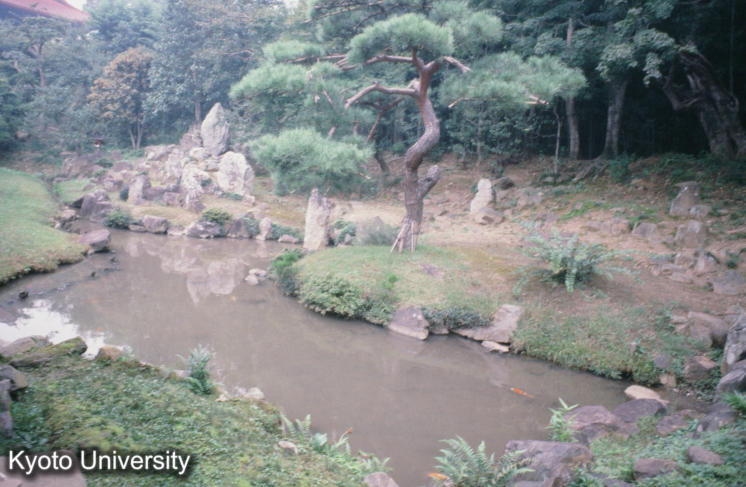 ［スライド］ (1)