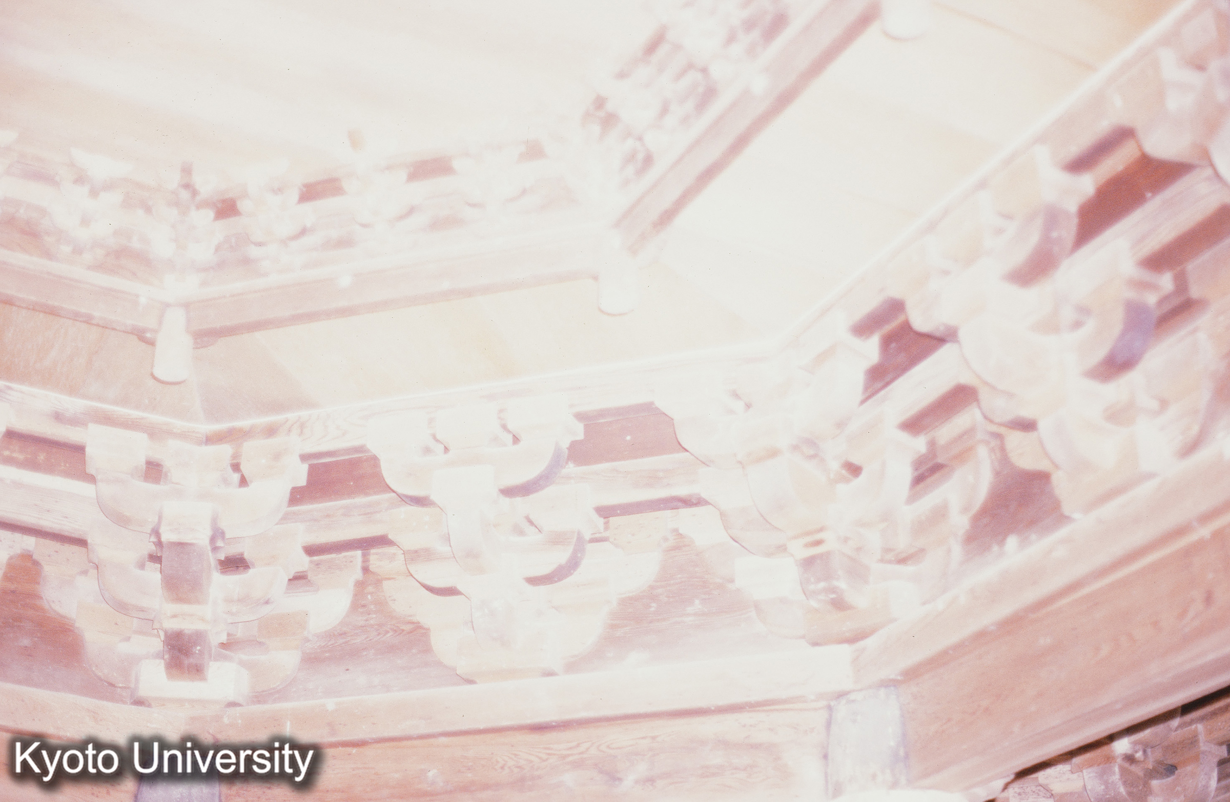 安楽寺八角三重塔 (1)