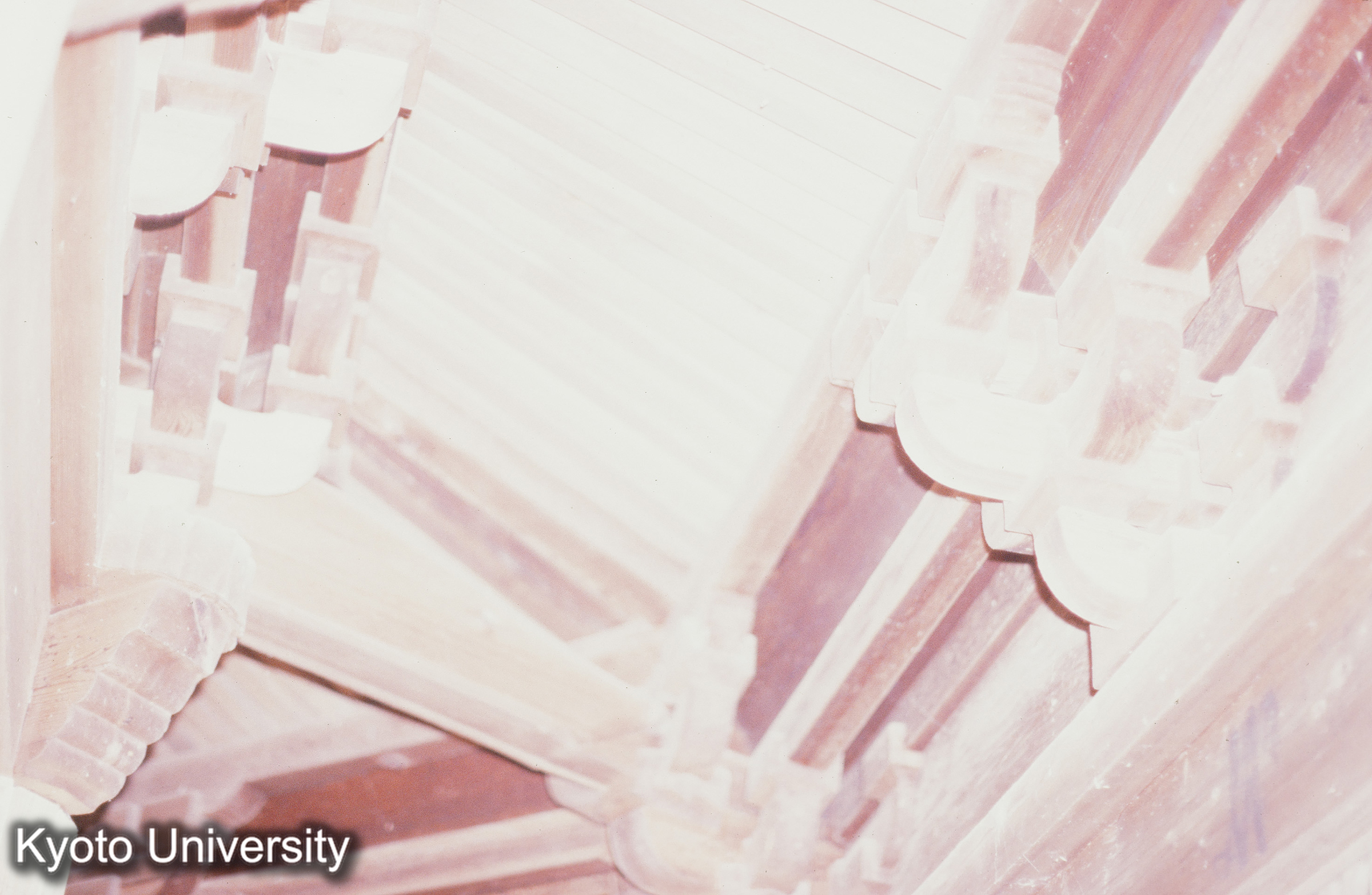 安楽寺八角三重塔 (1)