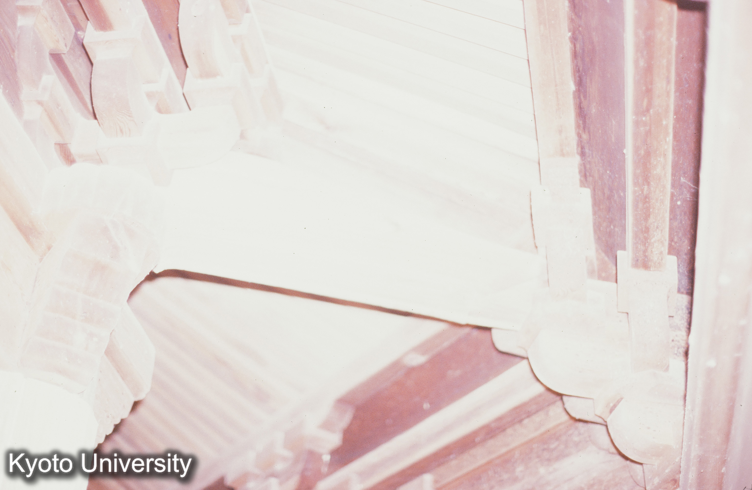 安楽寺八角三重塔 (1)