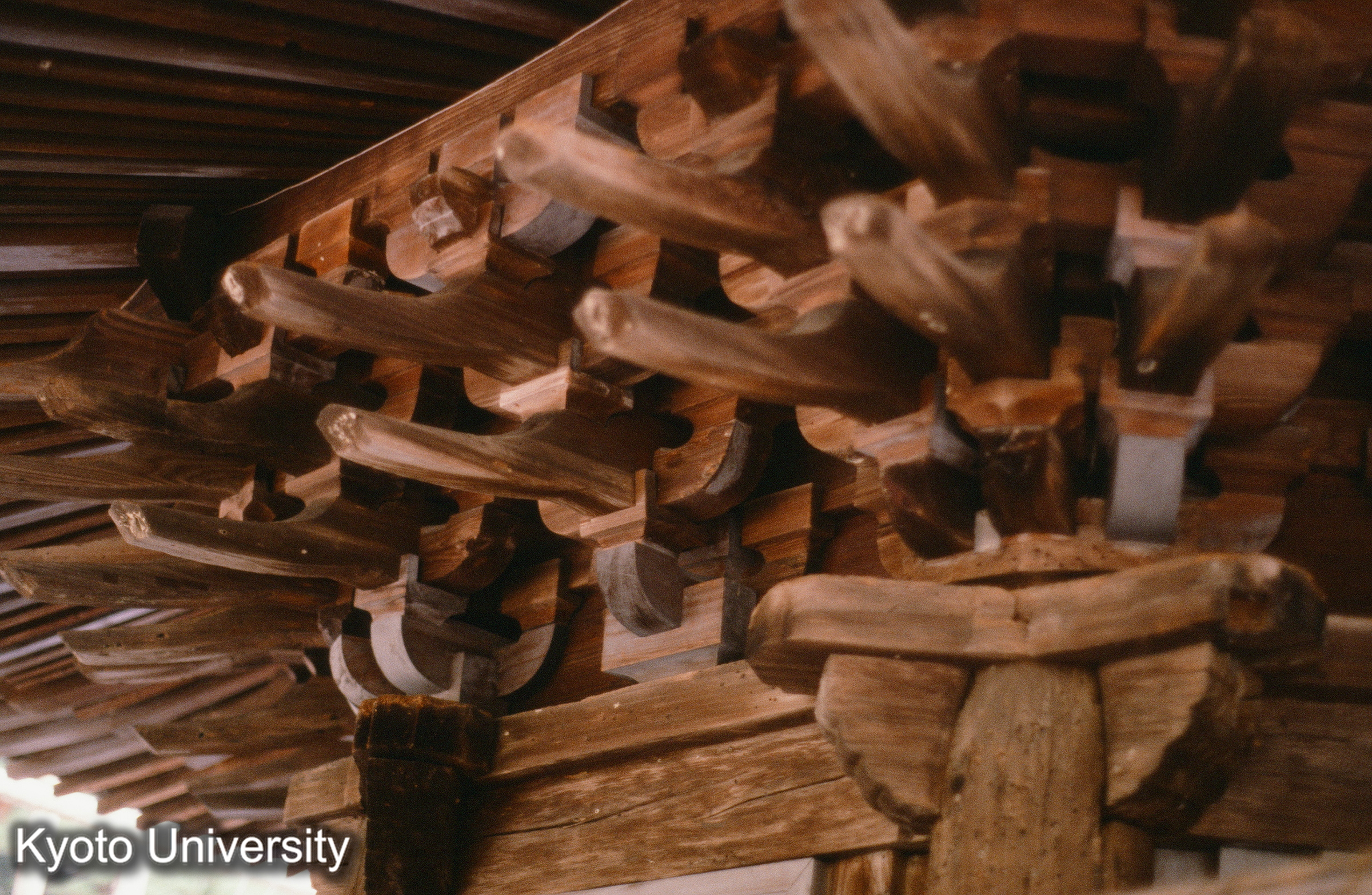 安楽寺八角三重塔 (1)