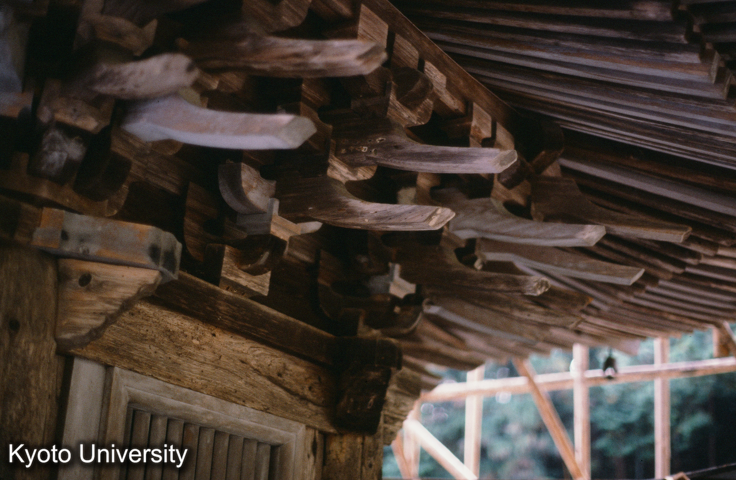 安楽寺八角三重塔 (1)