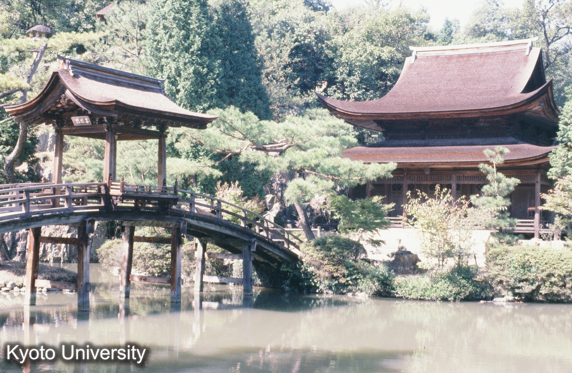 34_永保寺庭園 (1)