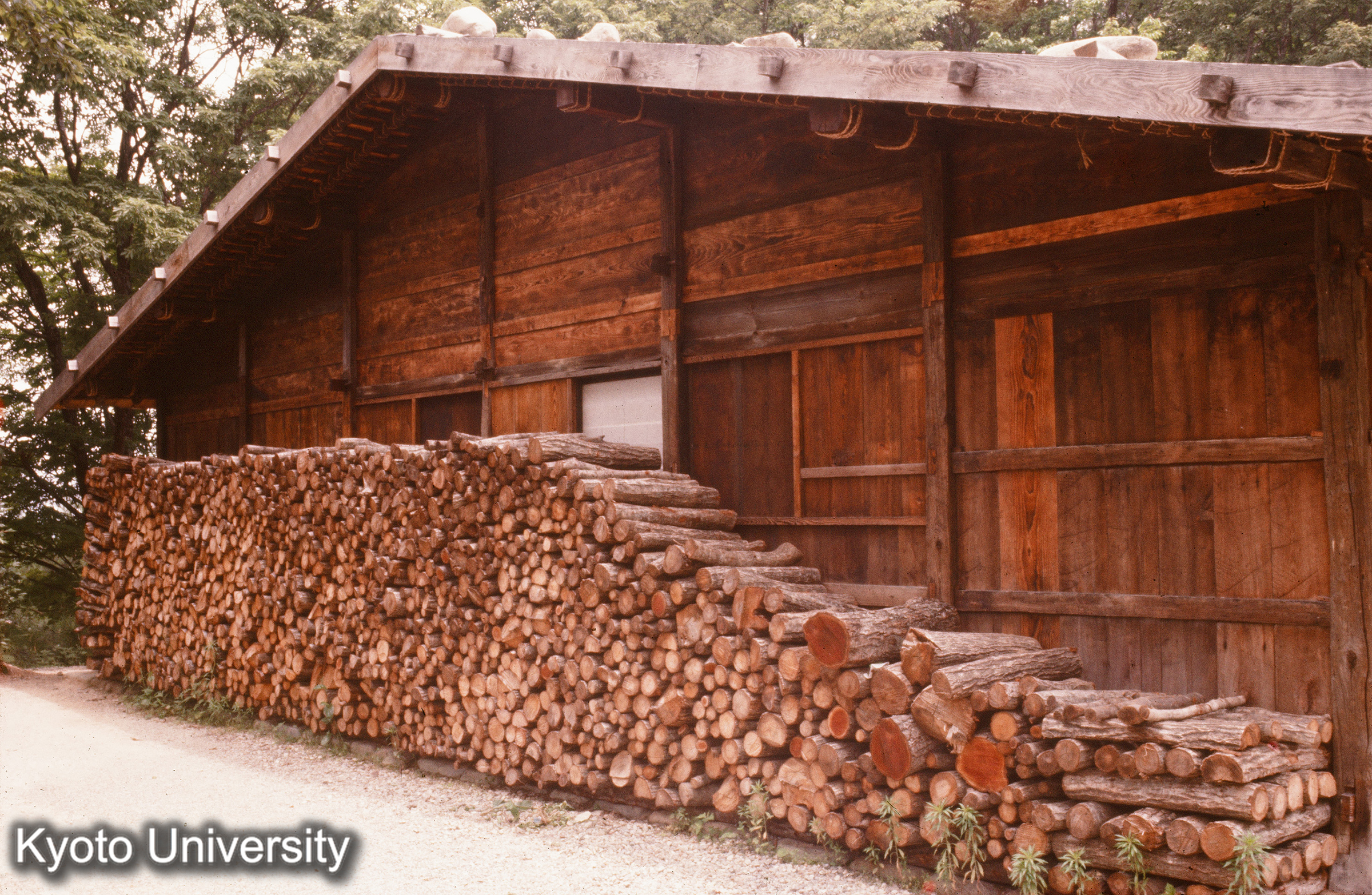 旧田中家住宅（高山ひだの里） (1)