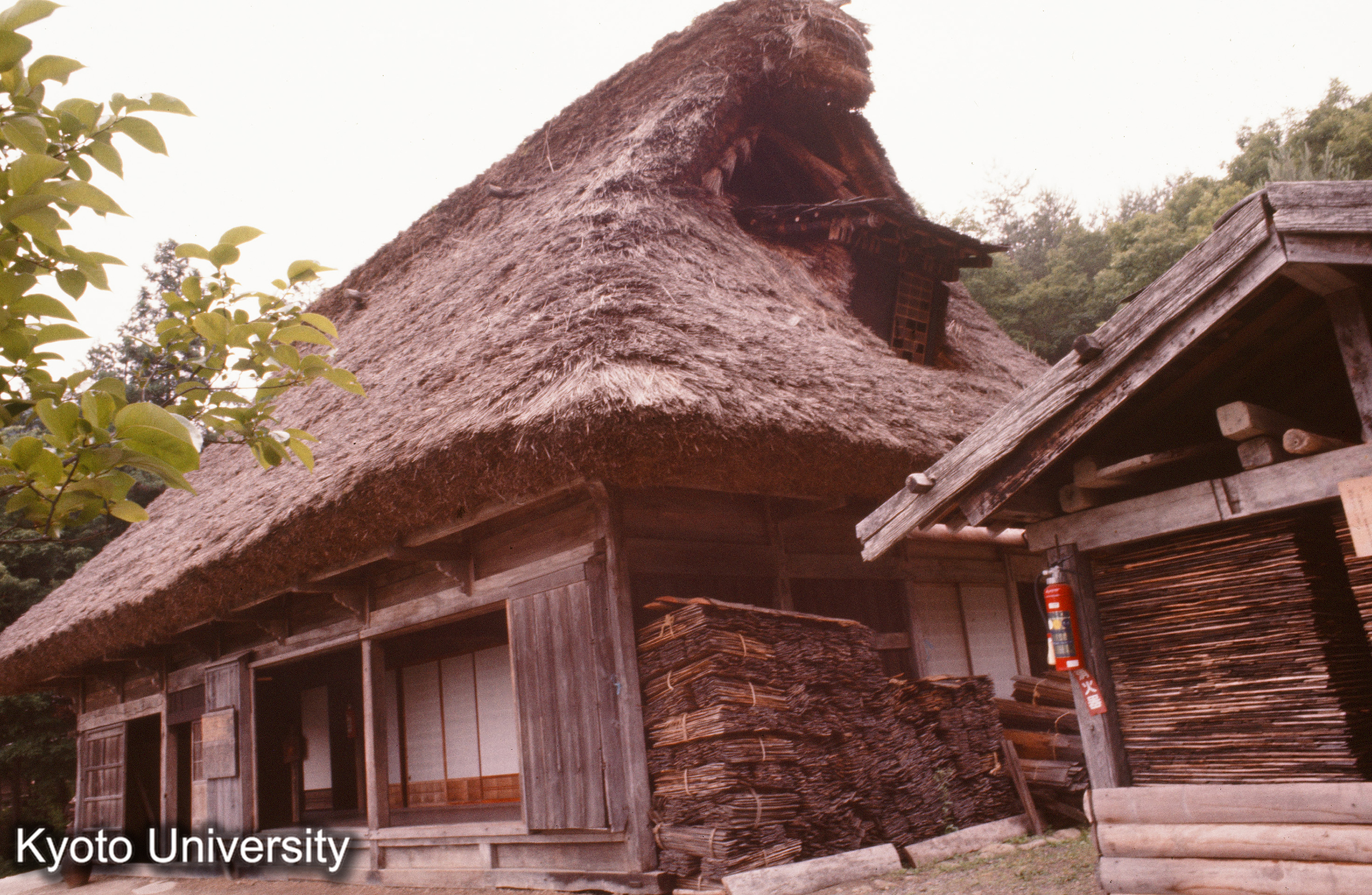 ［スライド］ (1)