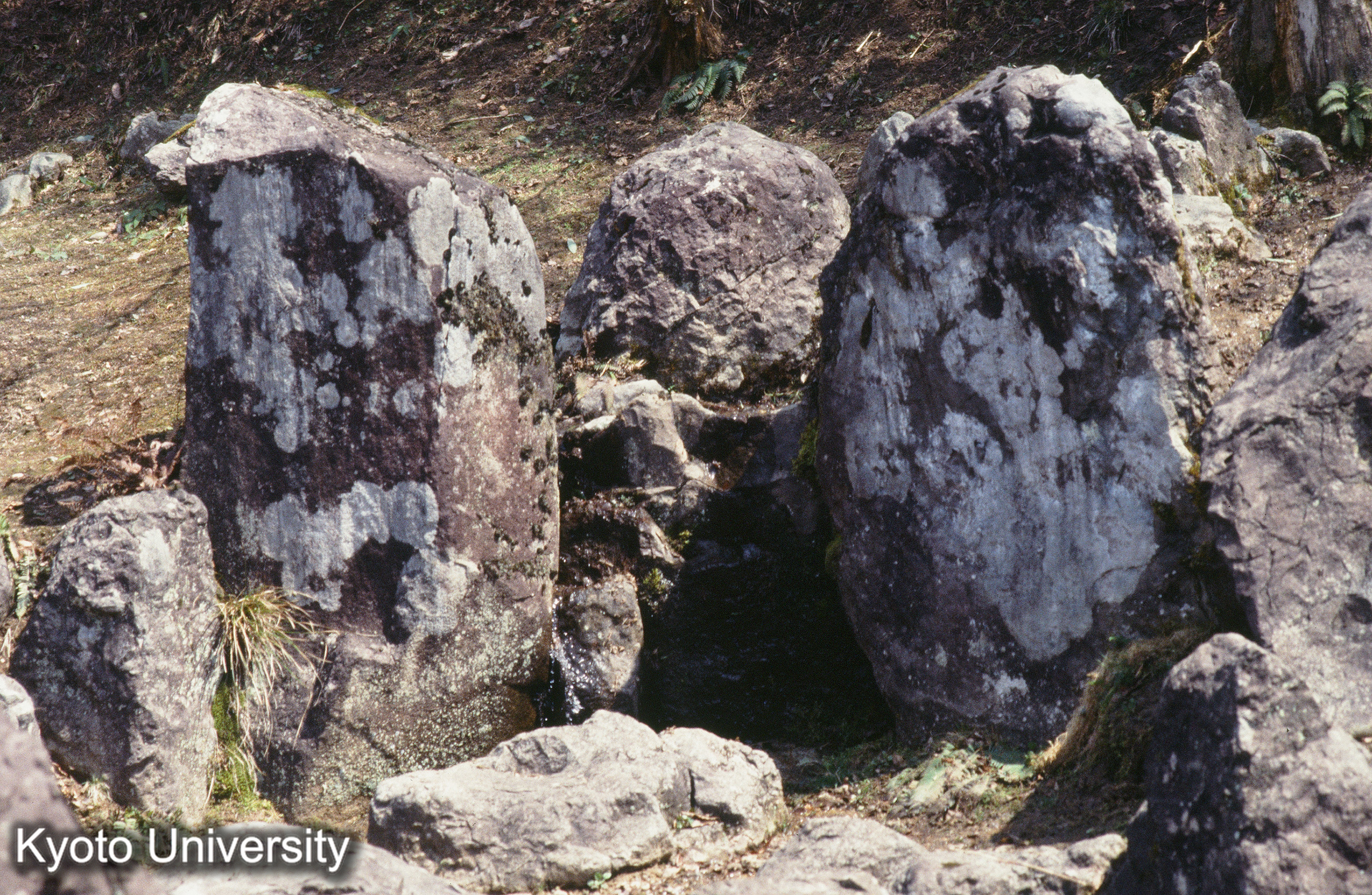 17_一乗谷_⑪ (1)