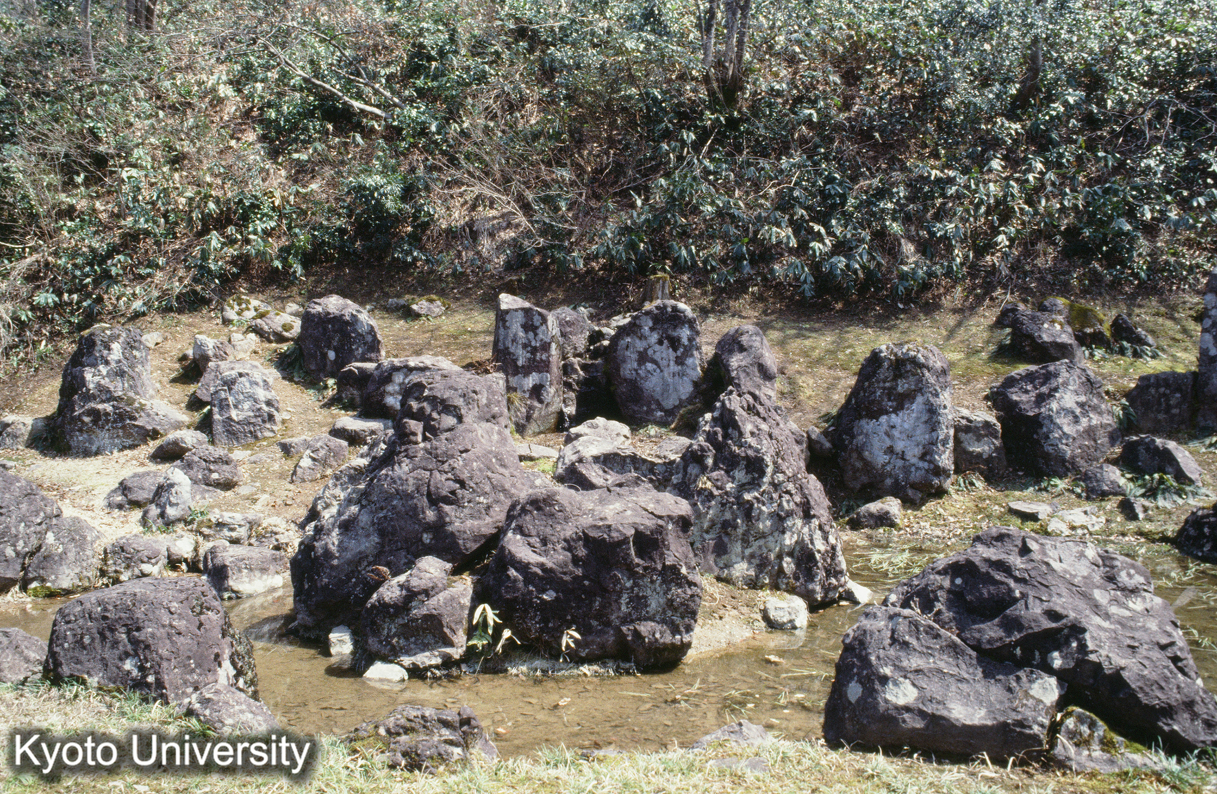 14_一乗谷 朝倉氏遺跡 (1)