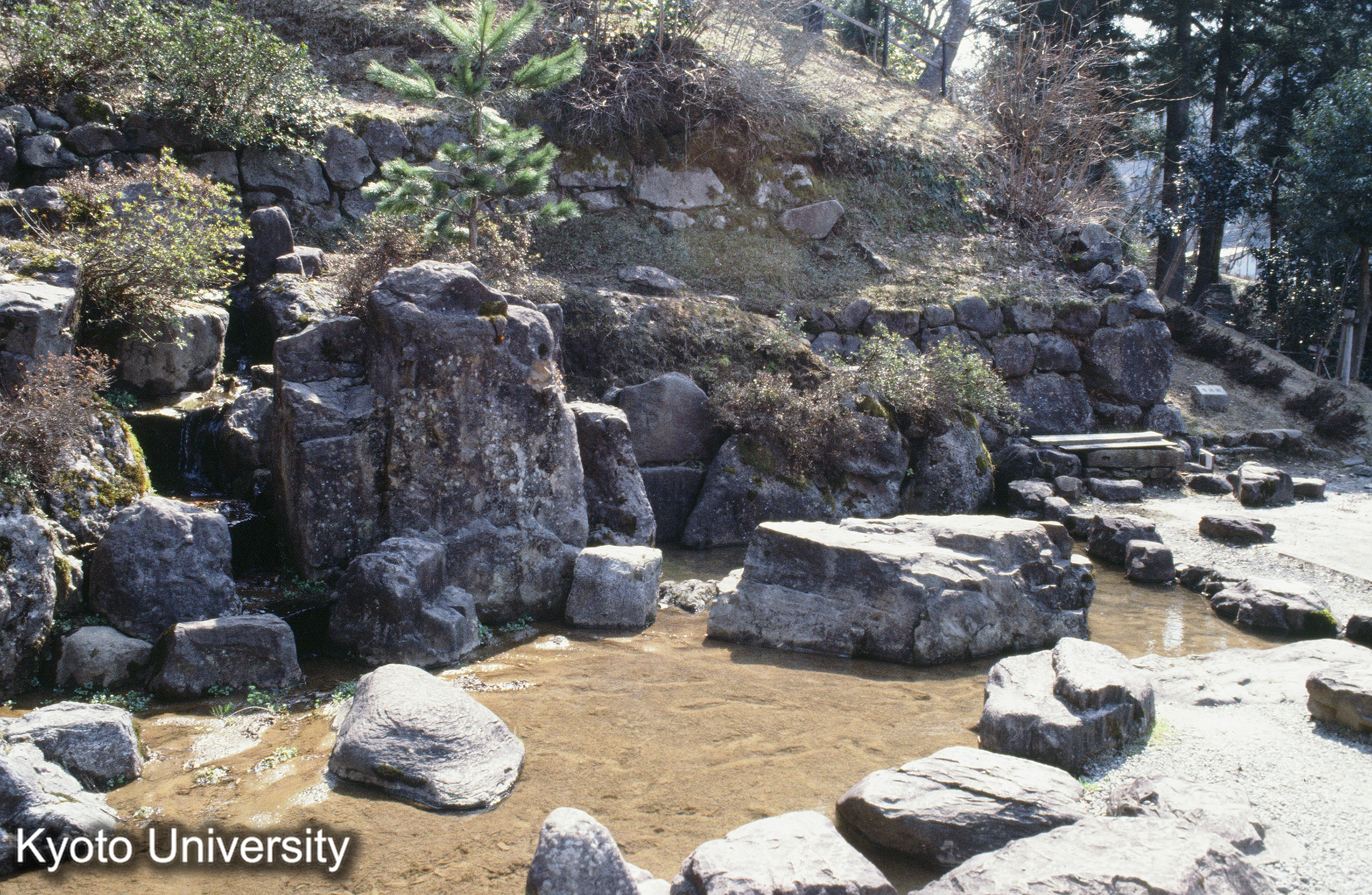 一乗谷 朝倉氏館庭園 苑池_⑫ (1)