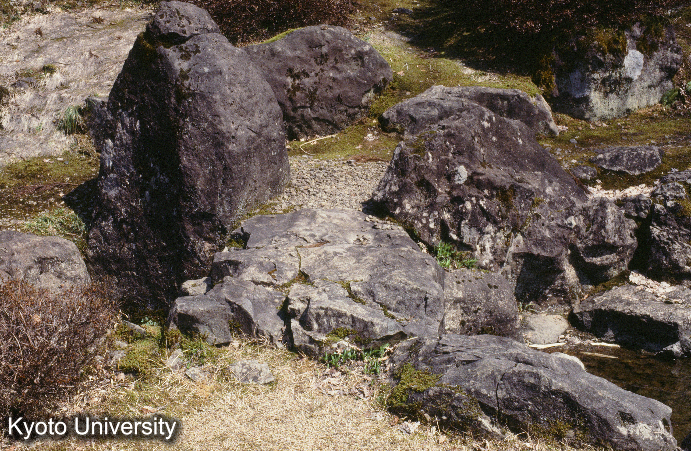 一乗谷 朝倉氏庭園 石橋_⑪ (1)
