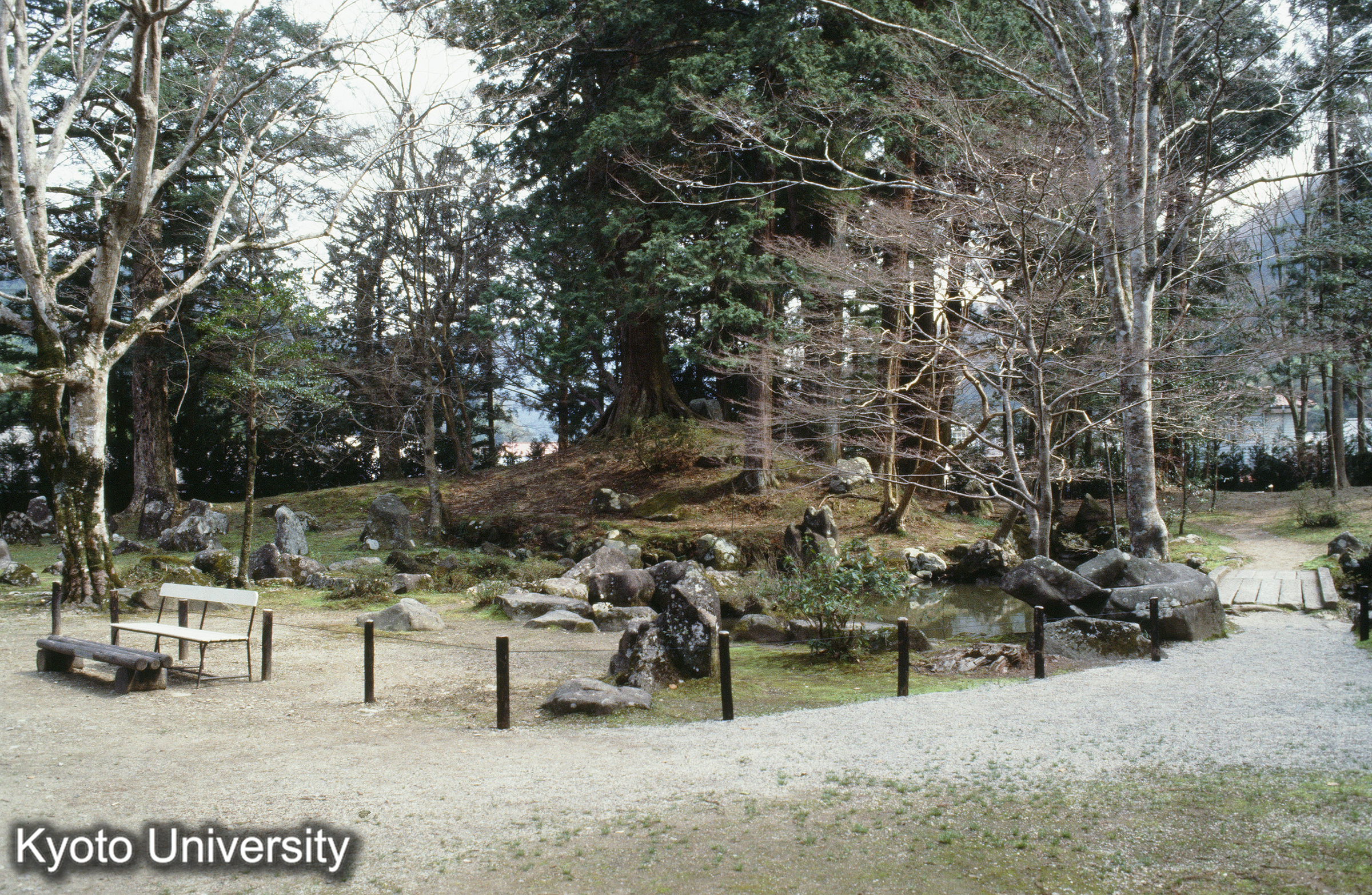 北畠神社庭園_⑮ (1)