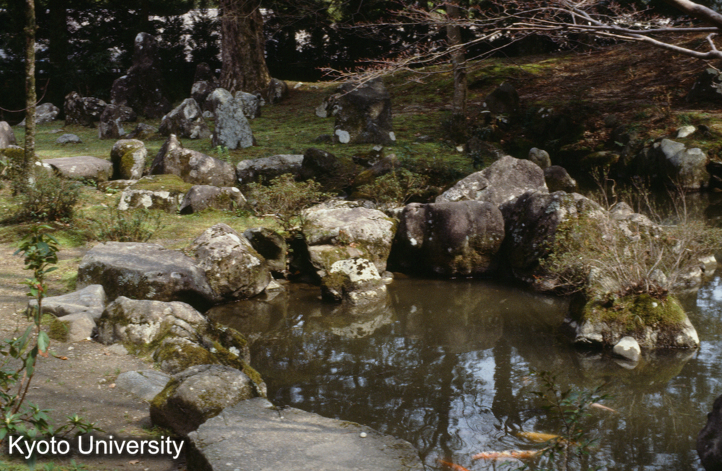 7_北畠神社庭園 駁岸_⑮ (1)