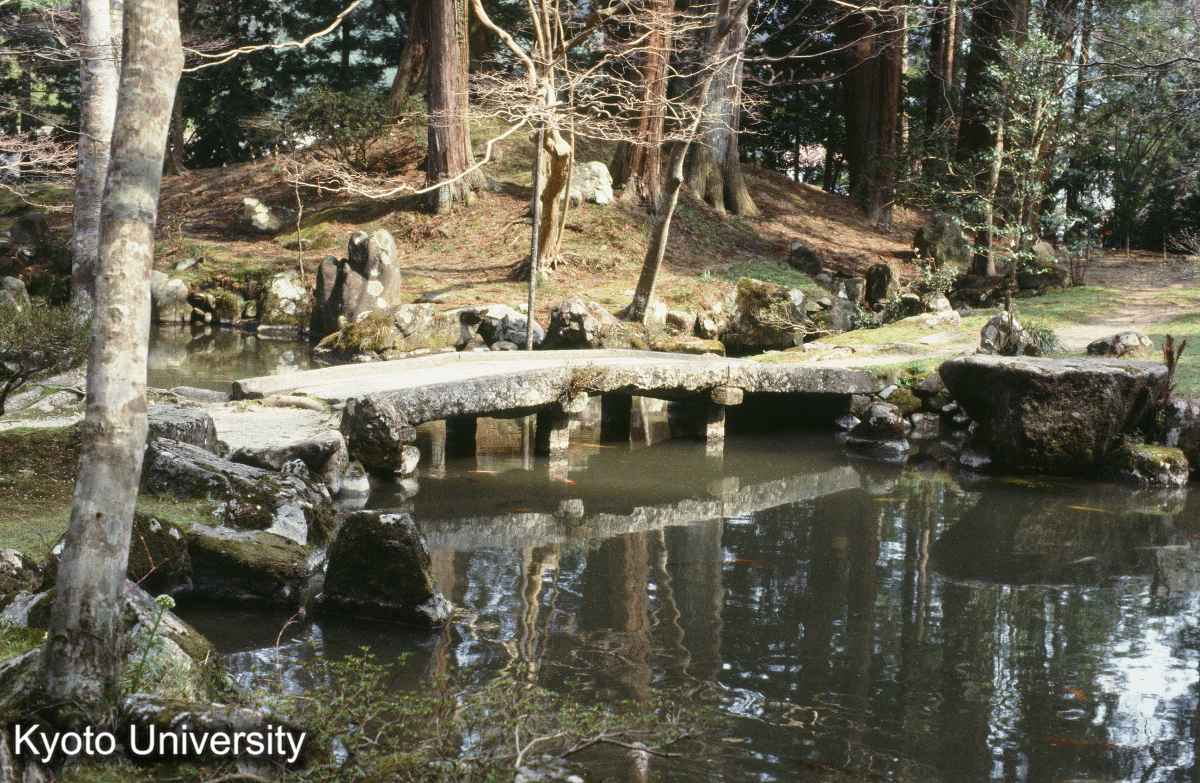 北畠神社 曲橋_⑯ (1)