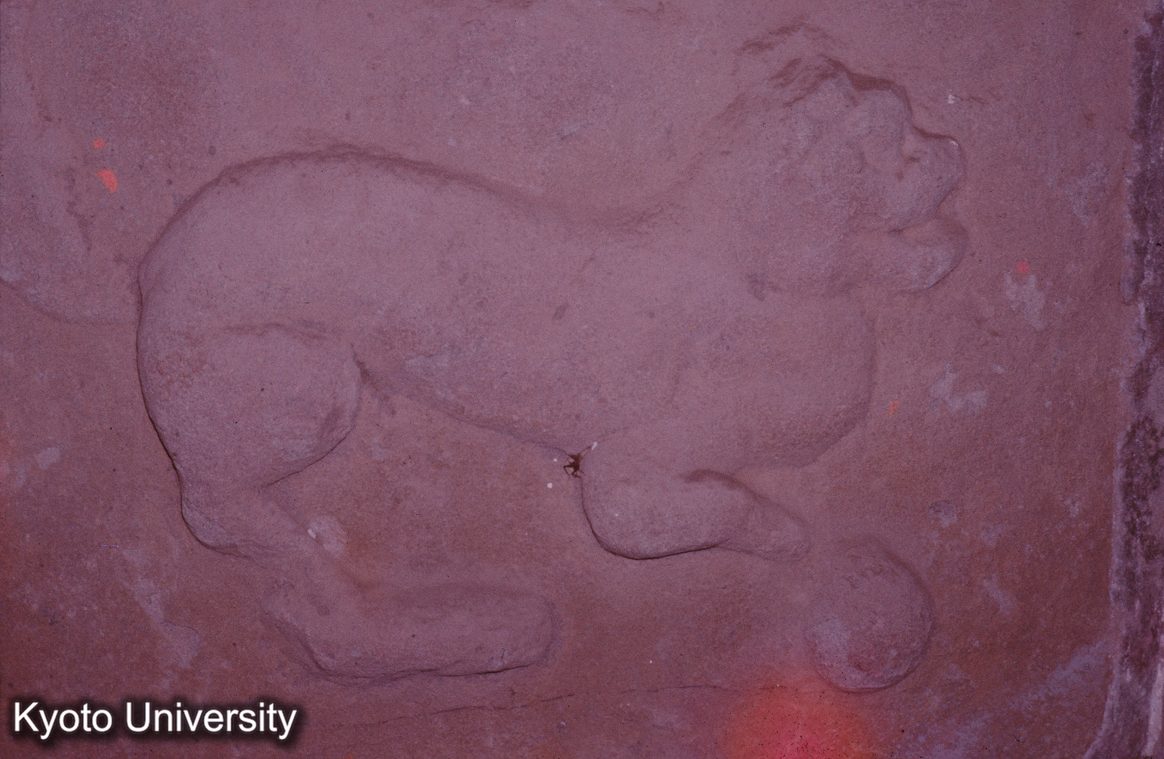 ［スライド］ (1)