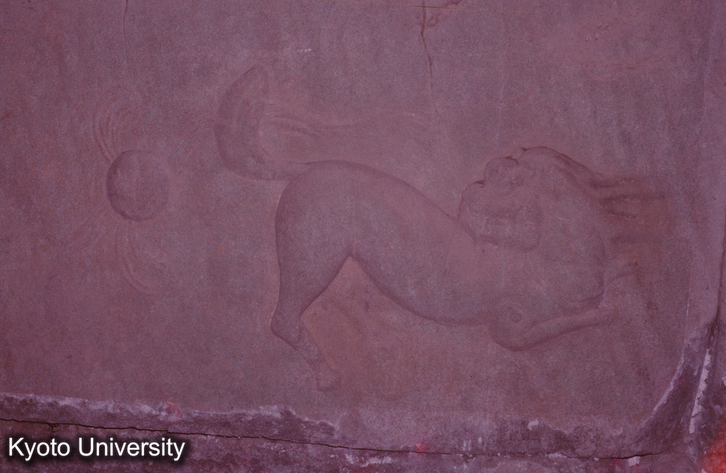 伊賀新大仏寺 発掘 (1)